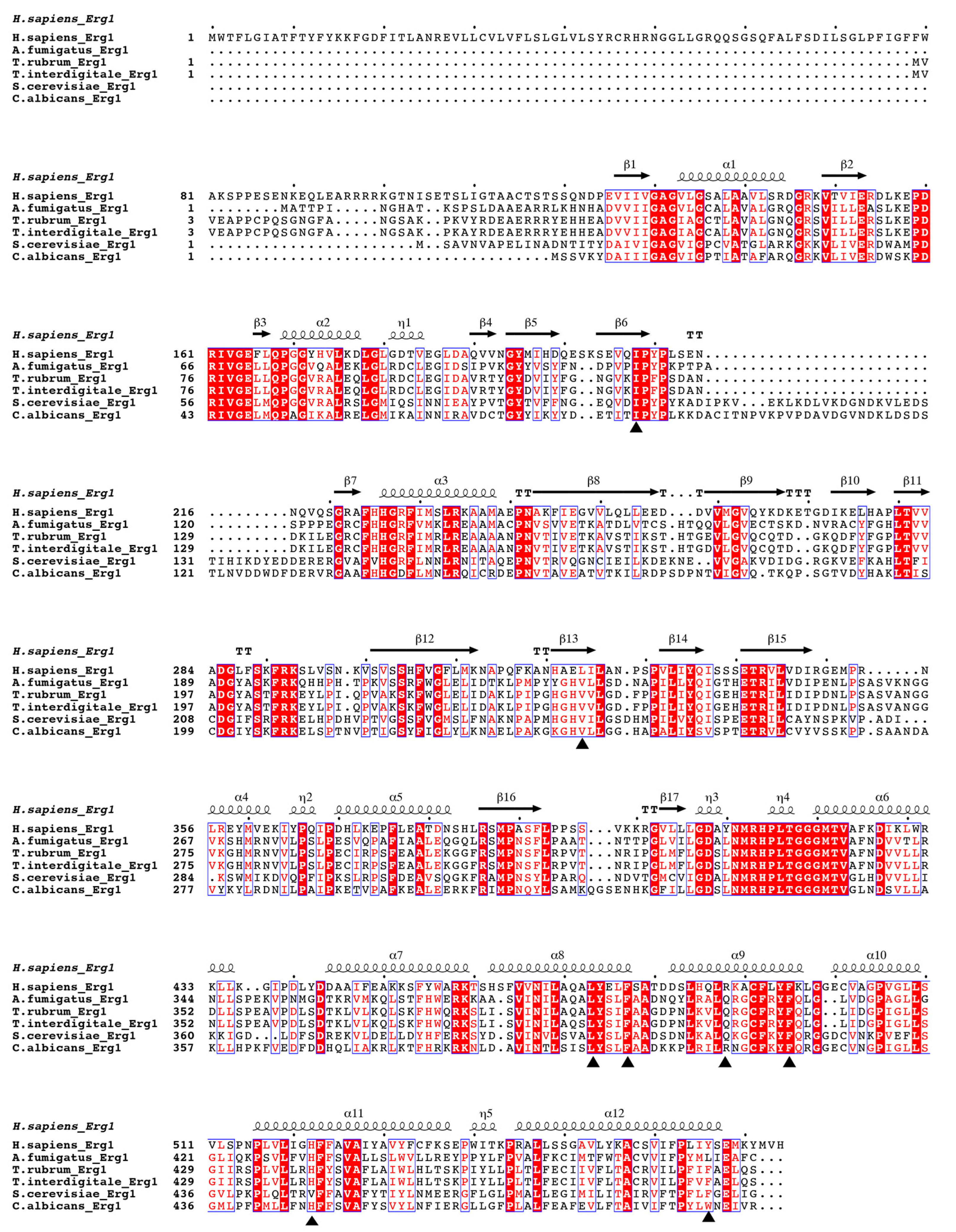 Jof 07 00049 g004 Jof 07 00049 g004