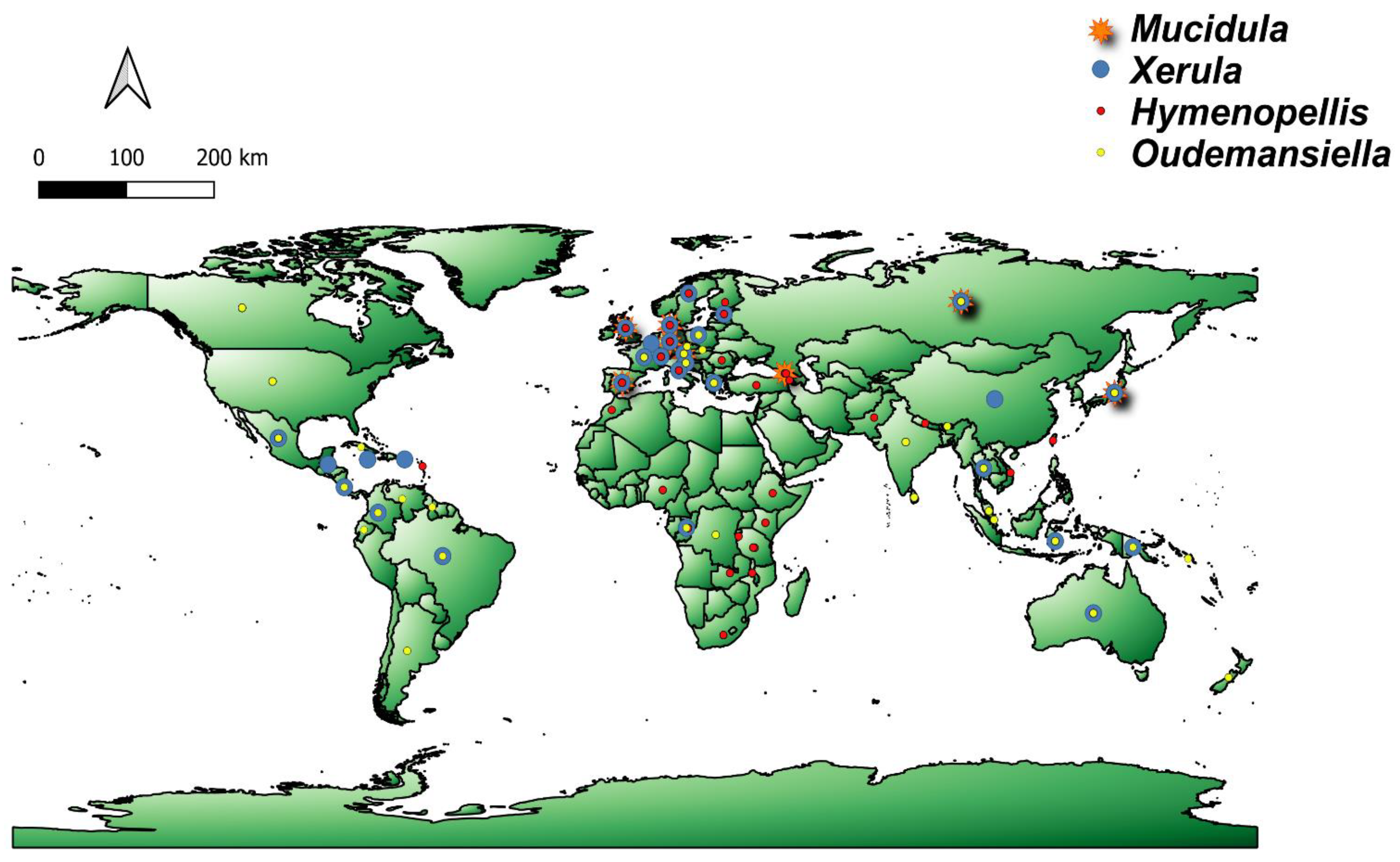 Jof 07 00051 g003 Jof 07 00051 g003