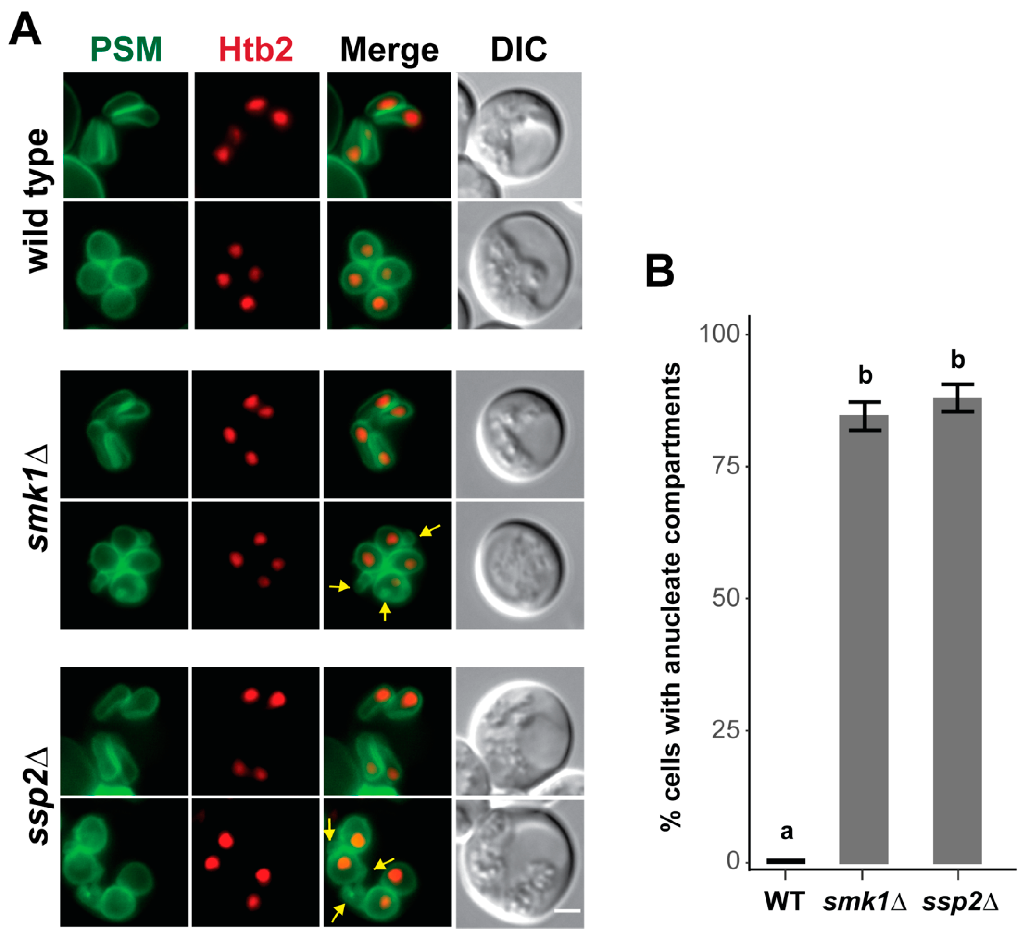Jof 07 00053 g006 Jof 07 00053 g006