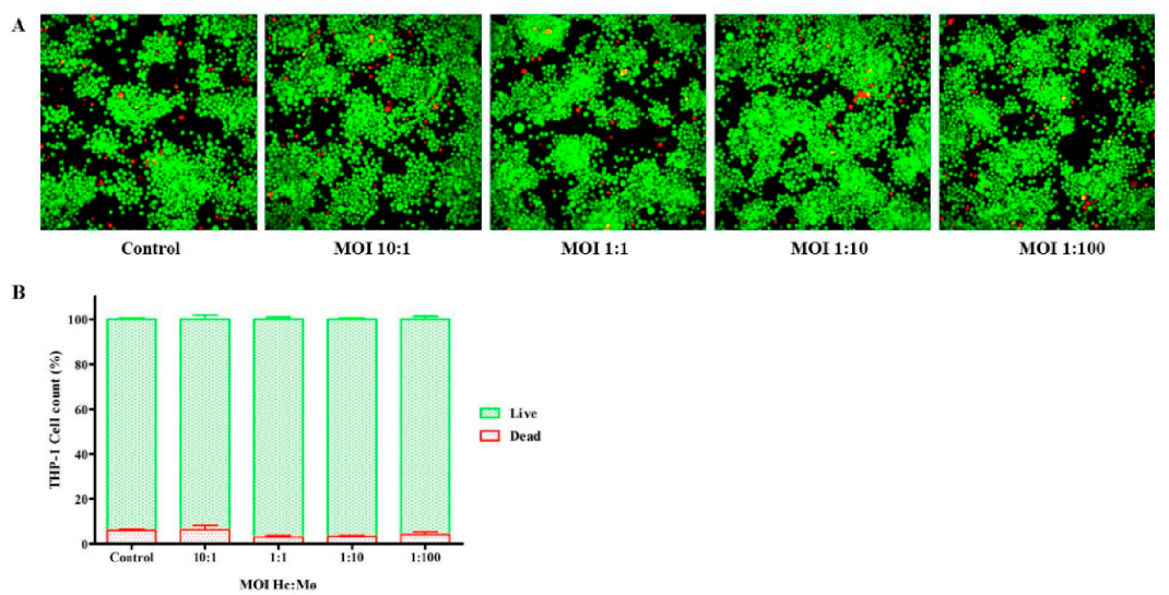 Jof 07 00060 g002 Jof 07 00060 g002