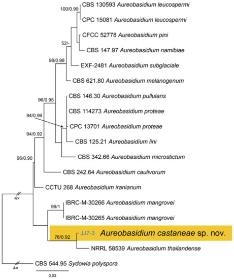Identification and Characterization of Leaf-Inhabiting Fungi
