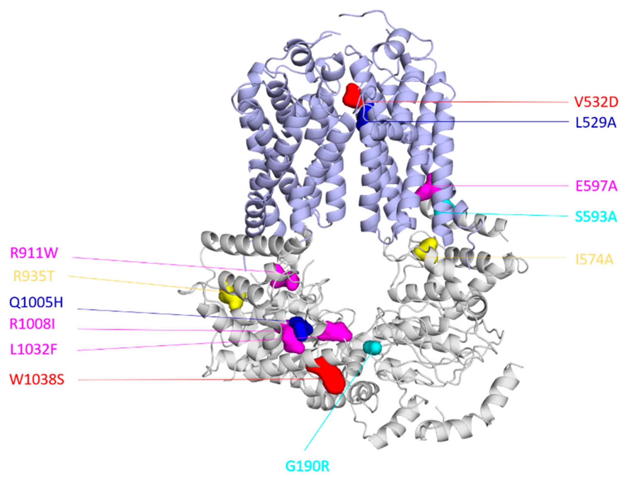 Jof 07 00068 g003 Jof 07 00068 g003