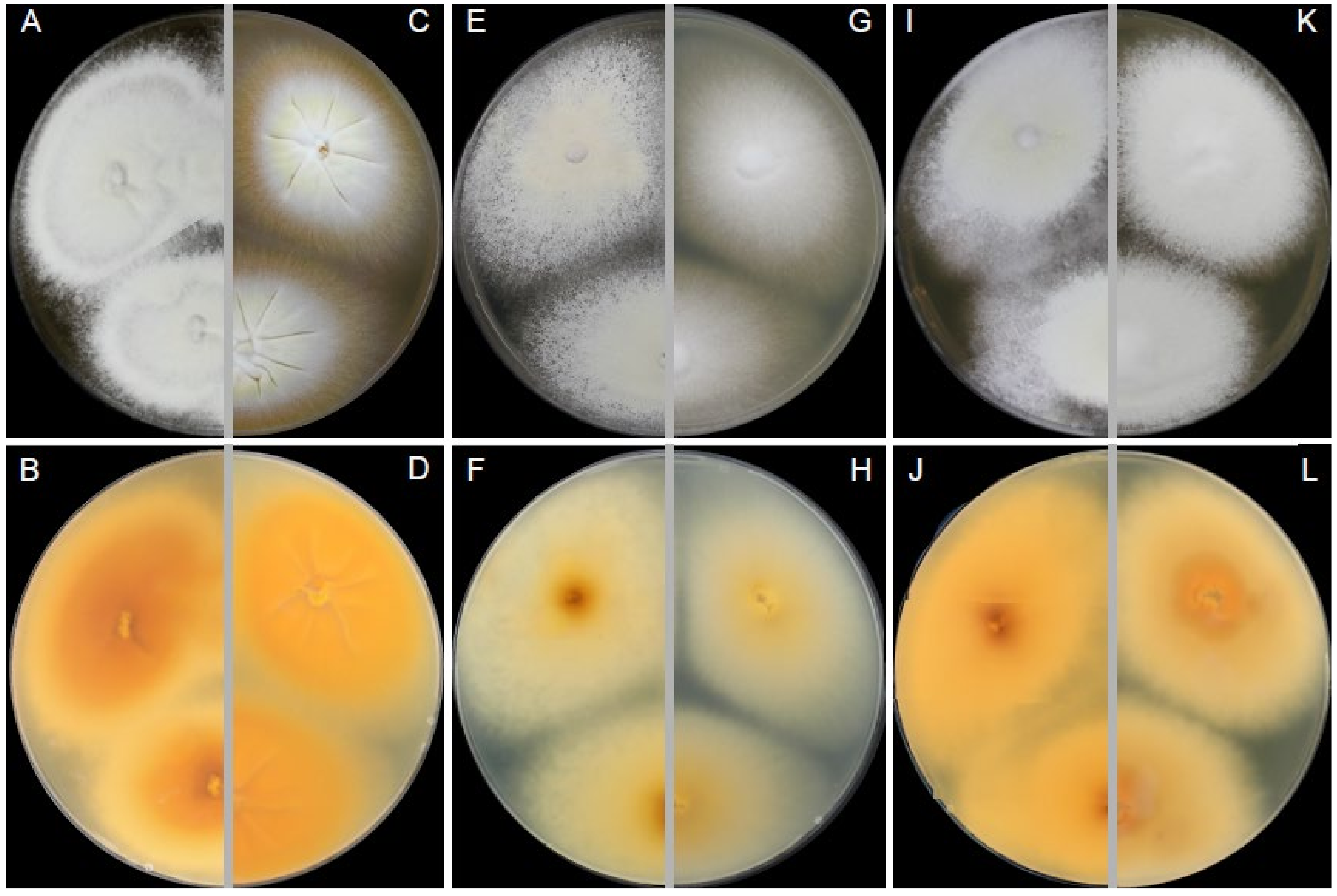 Jof 07 00074 g005 Jof 07 00074 g005