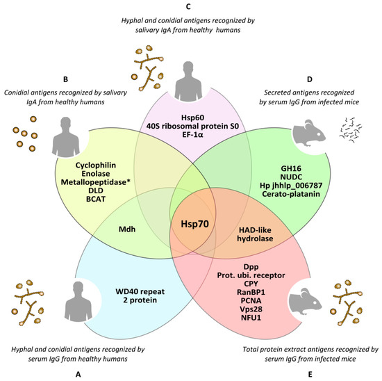 Jof 07 00075 g004 550
