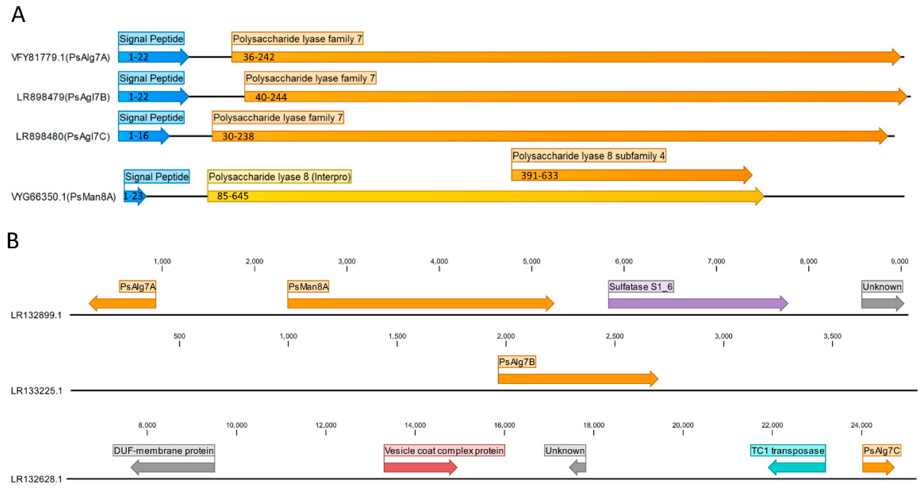 Jof 07 00080 g001 Jof 07 00080 g001