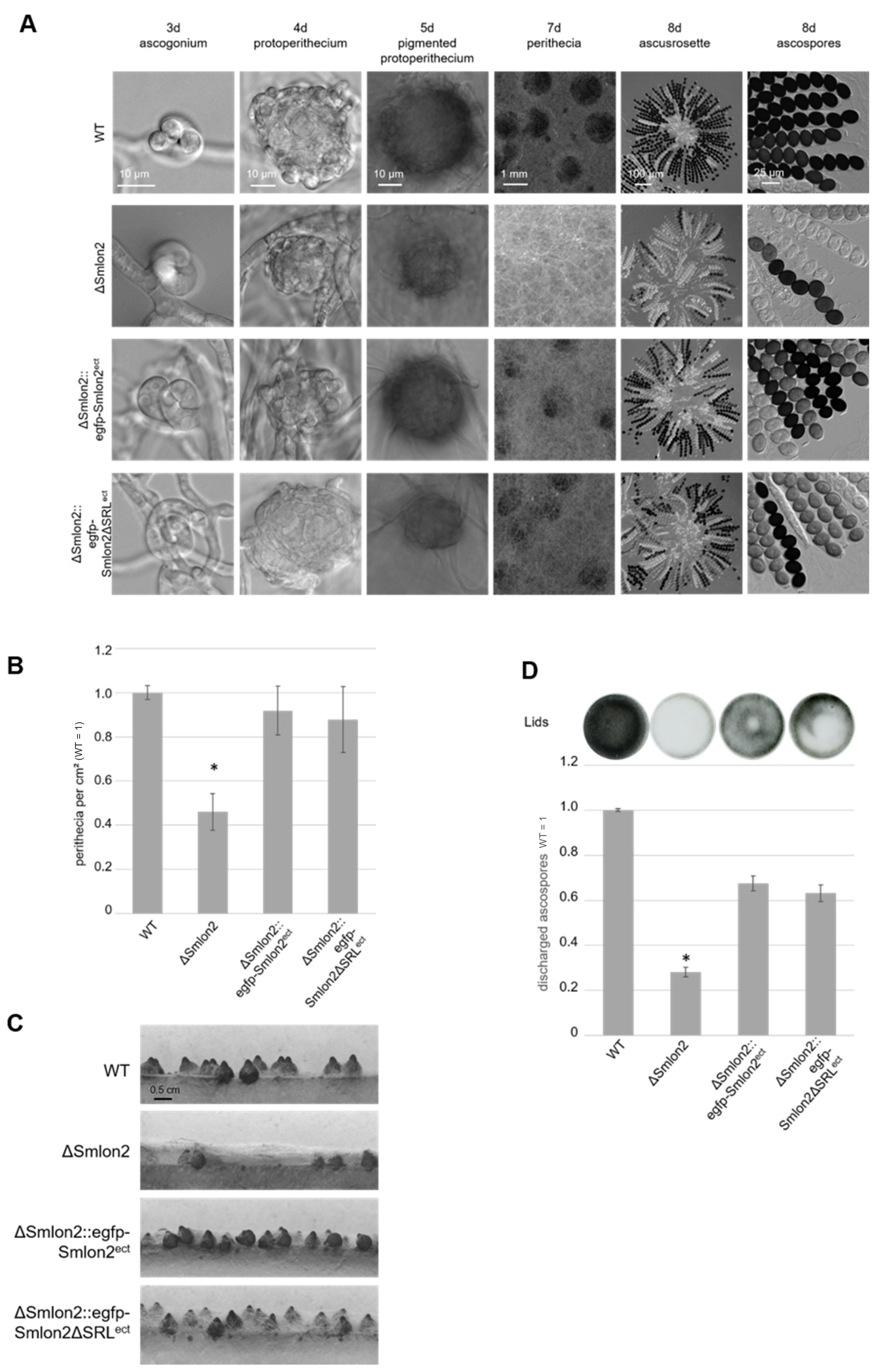 Jof 07 00082 g004 Jof 07 00082 g004