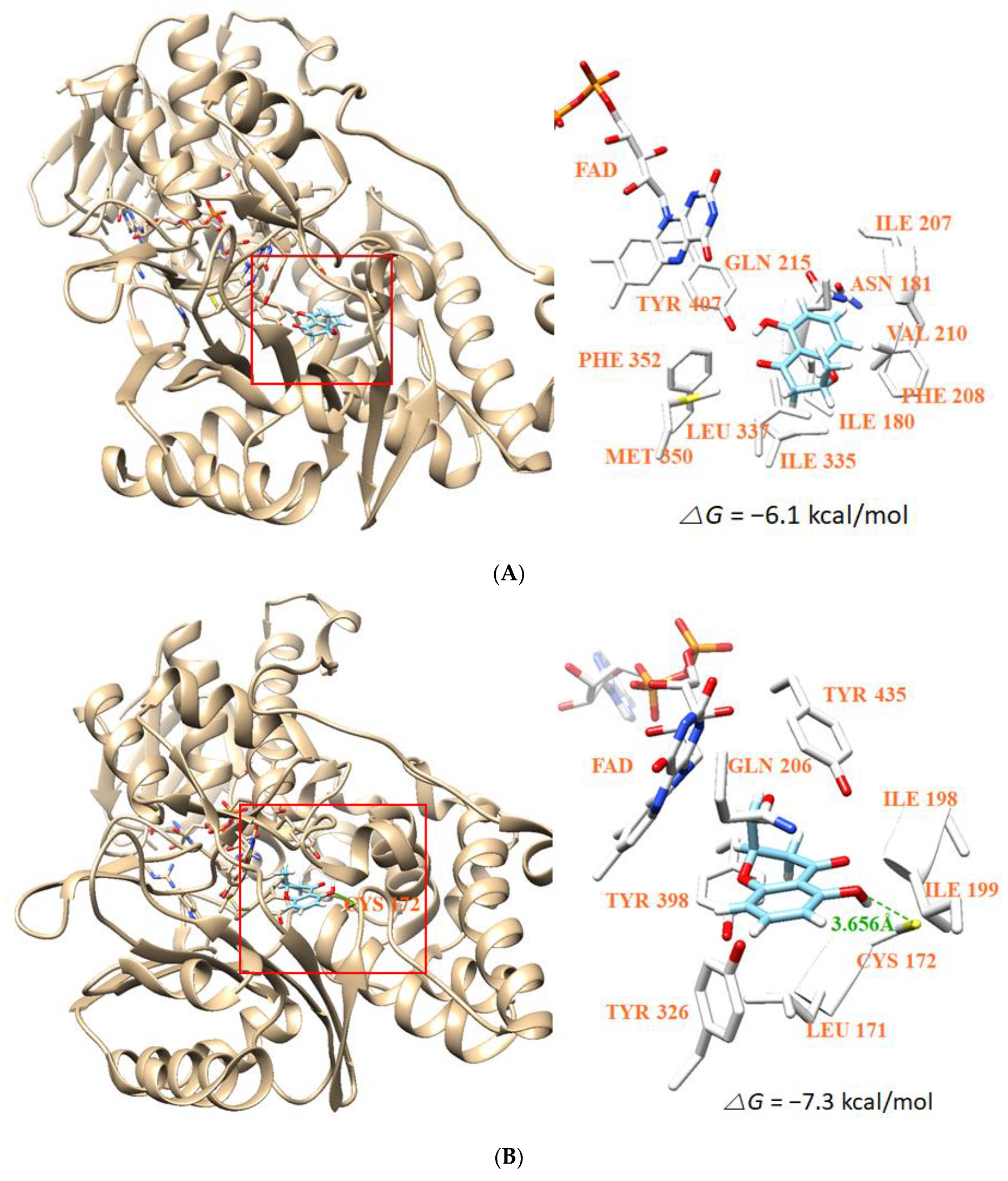 Jof 07 00084 g007a Jof 07 00084 g007a