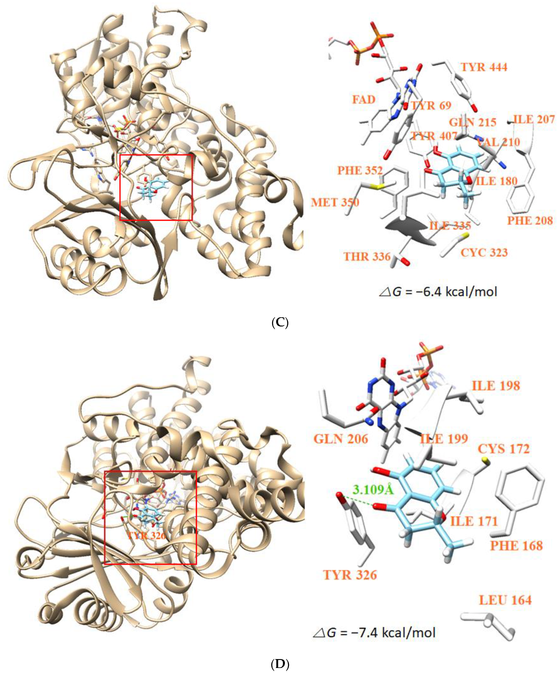 Jof 07 00084 g007b Jof 07 00084 g007b