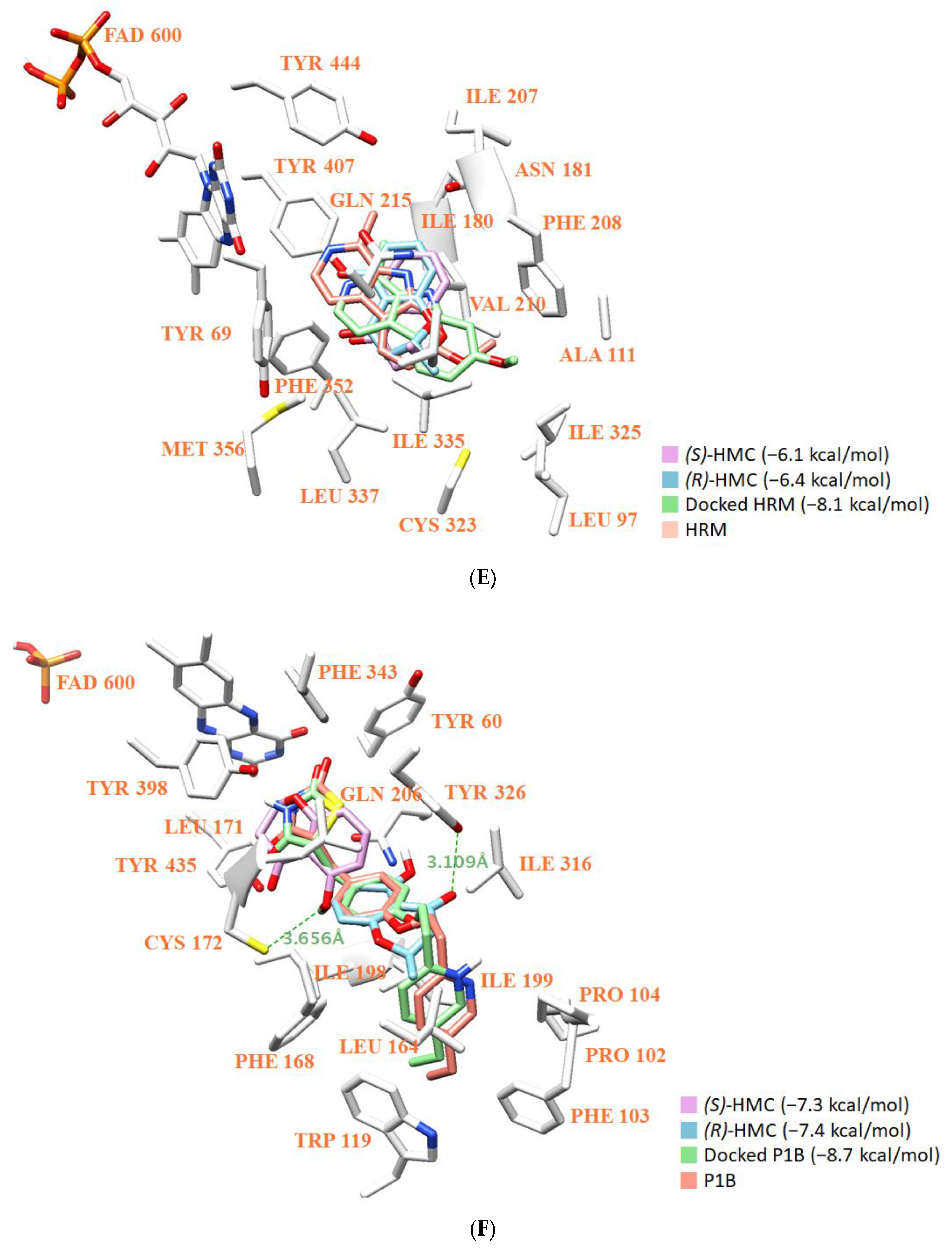 Jof 07 00084 g007c Jof 07 00084 g007c