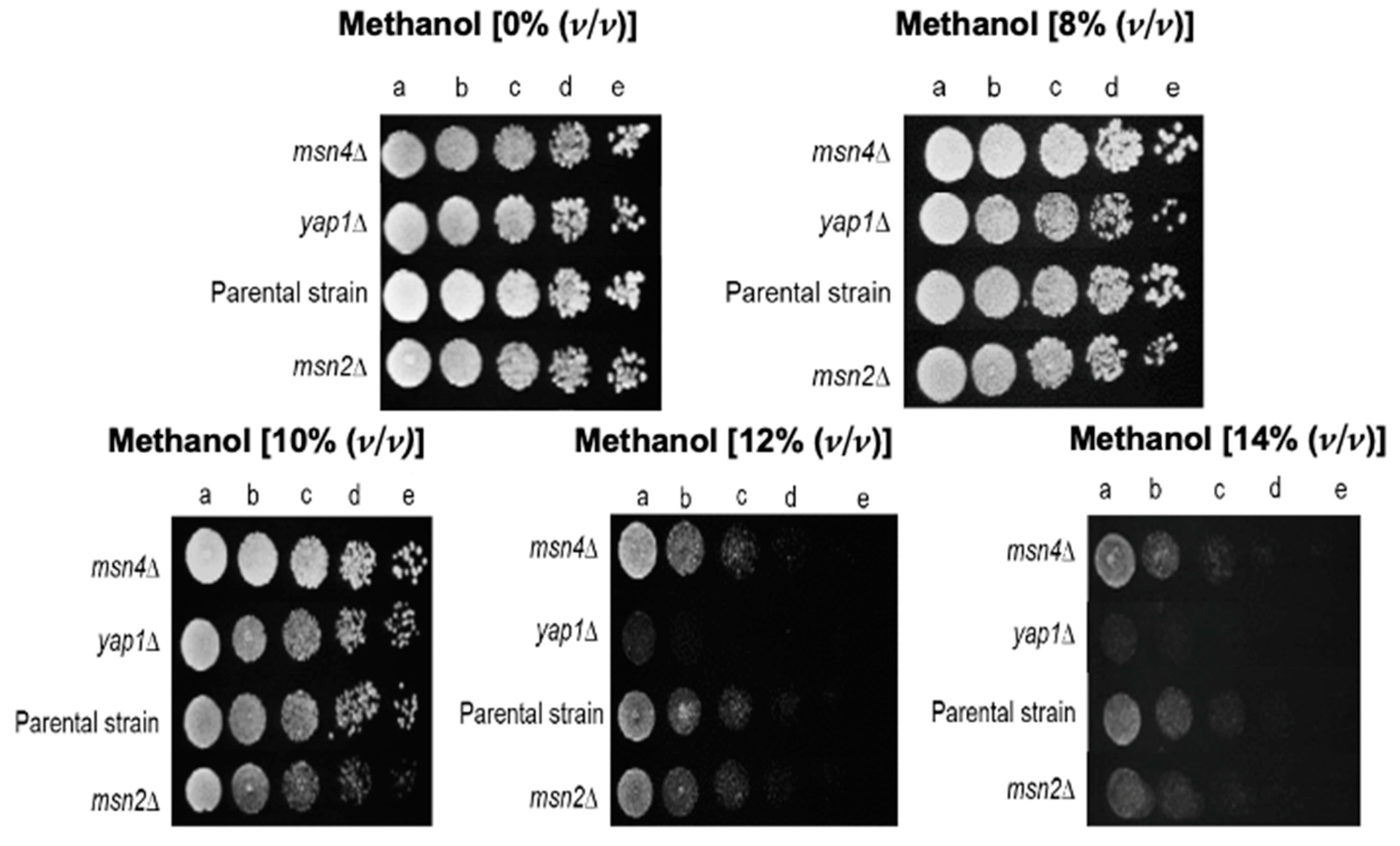 Jof 07 00090 g005 Jof 07 00090 g005