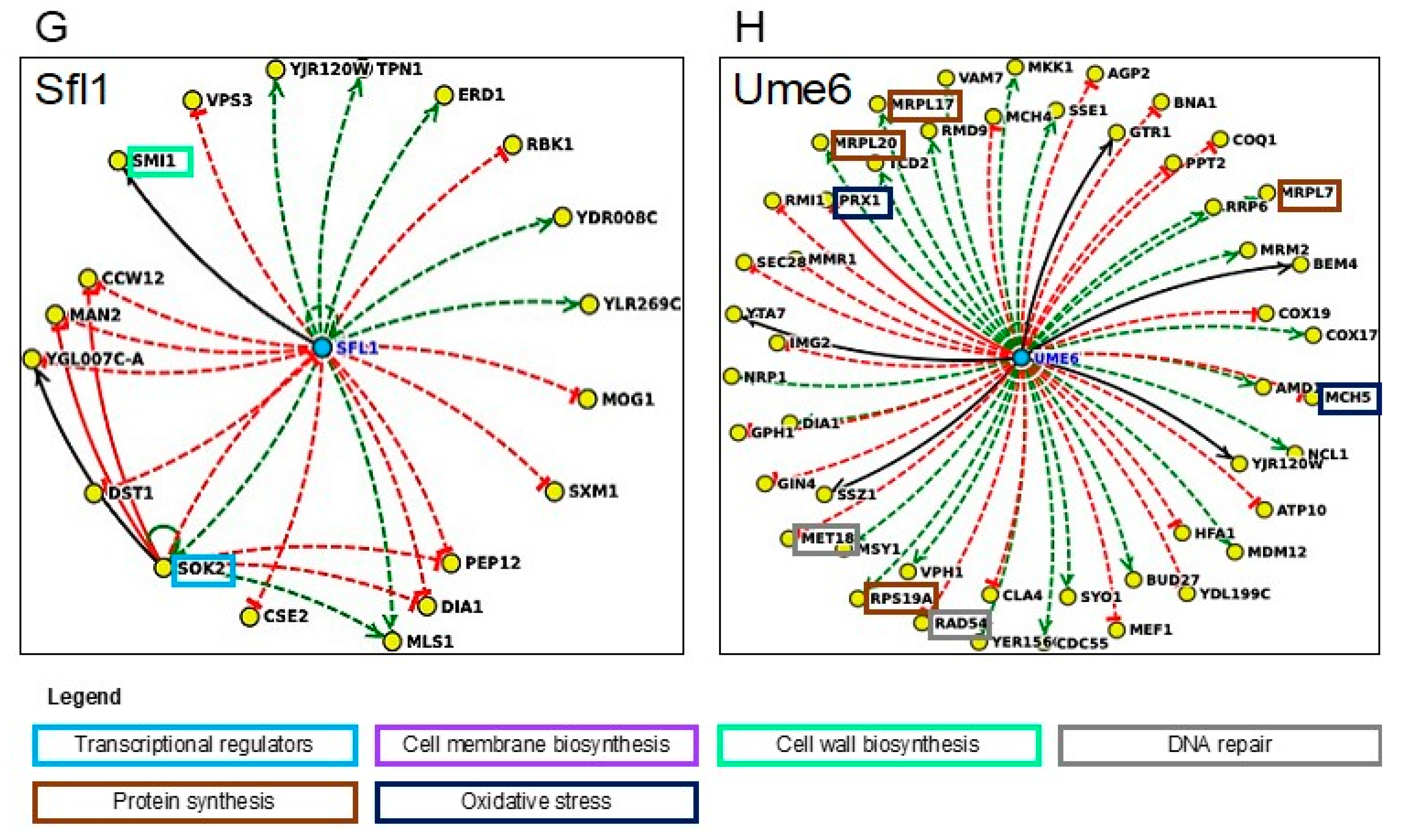 Jof 07 00090 g006b Jof 07 00090 g006b