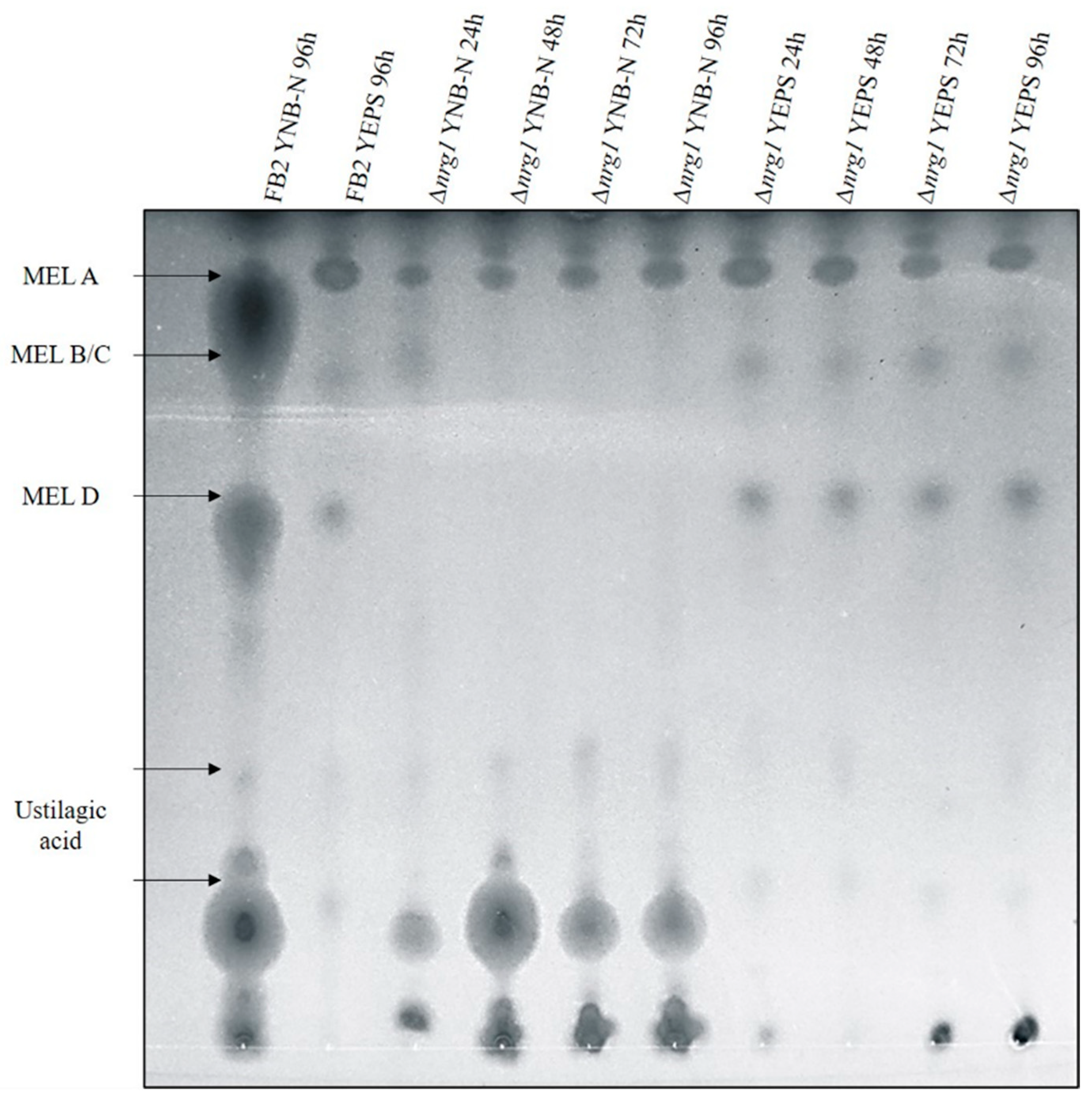 Jof 07 00091 g005 Jof 07 00091 g005