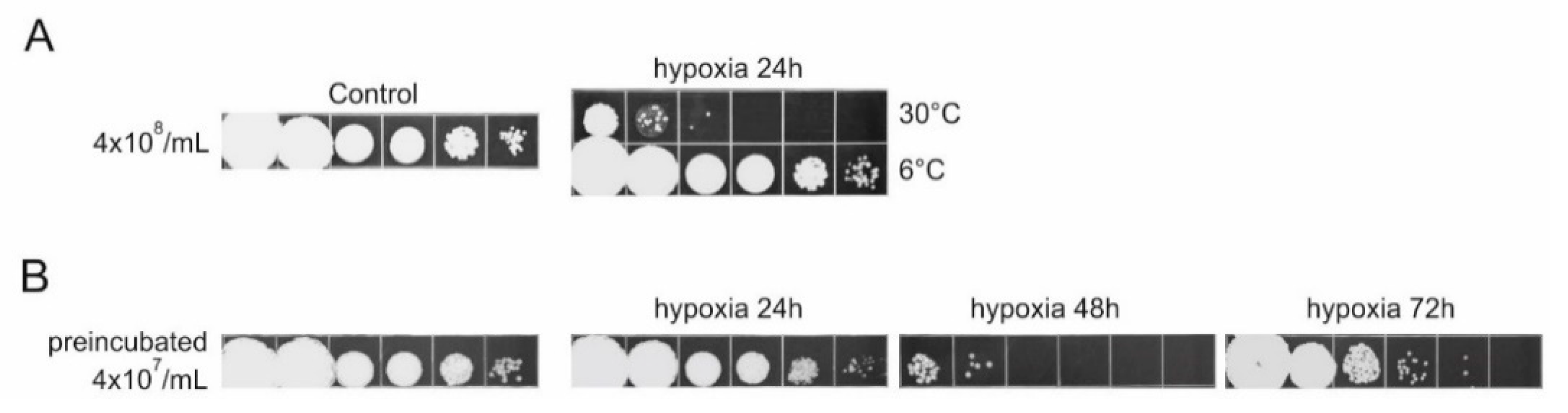 Jof 07 00092 g002 Jof 07 00092 g002
