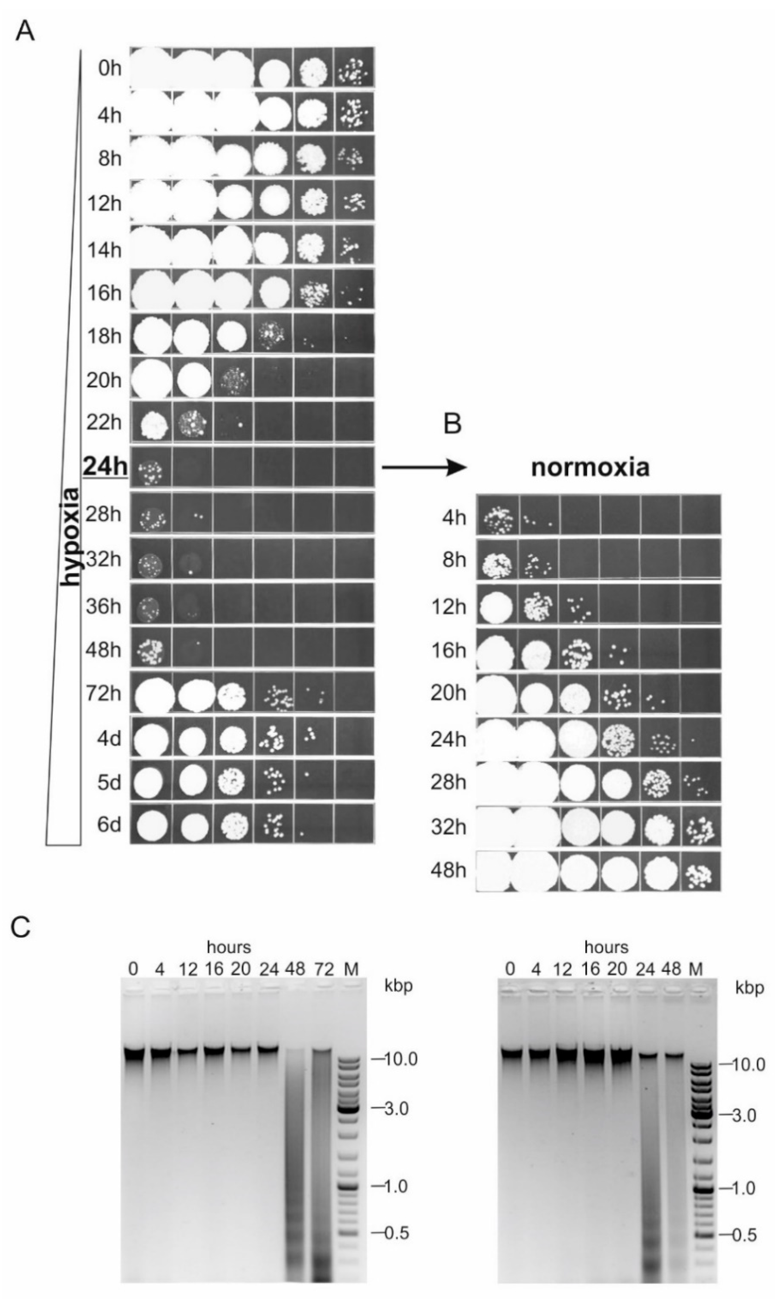 Jof 07 00092 g003 Jof 07 00092 g003