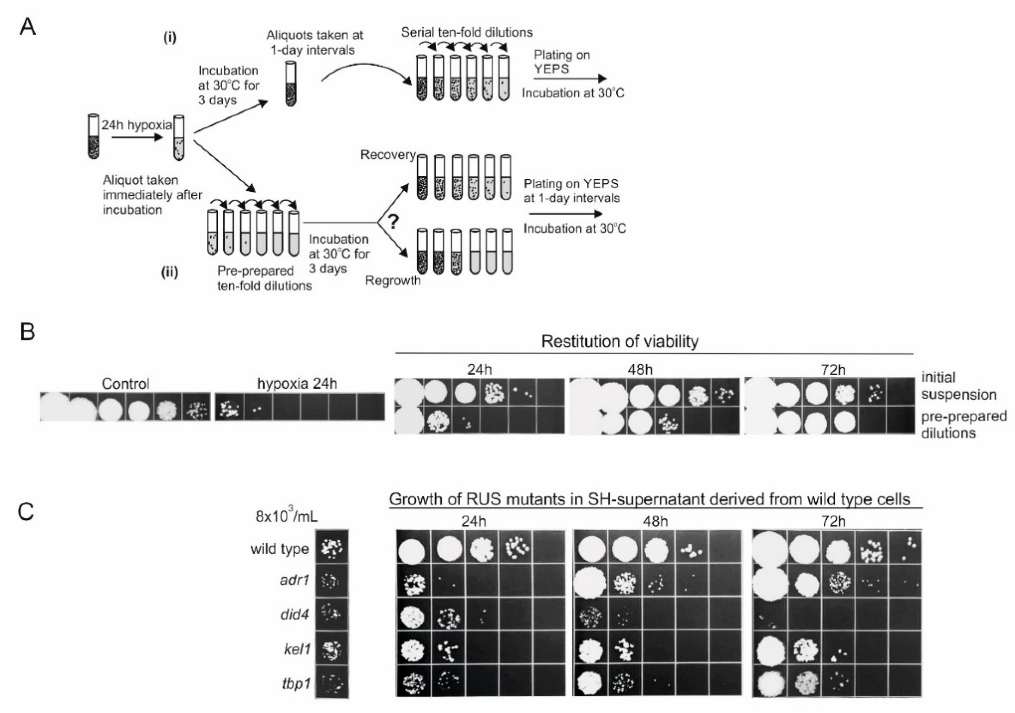 Jof 07 00092 g004 Jof 07 00092 g004