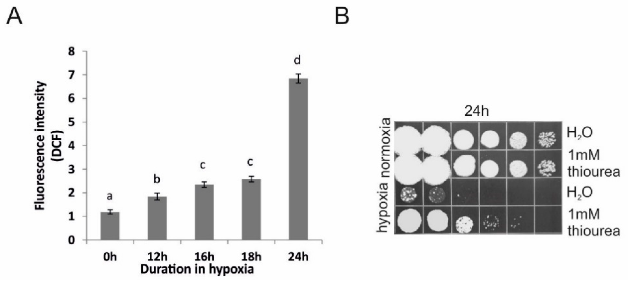 Jof 07 00092 g005 Jof 07 00092 g005