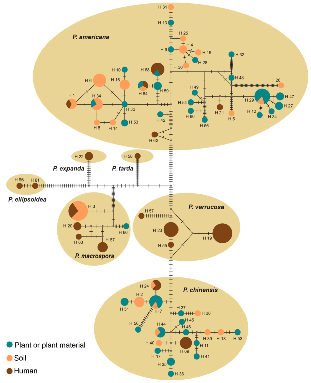 Jof 07 00095 g004 Jof 07 00095 g004