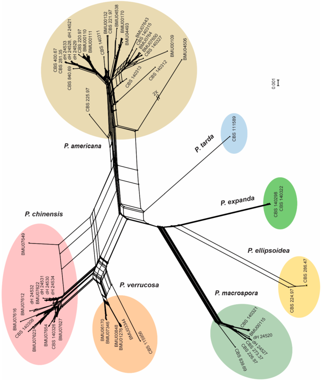 Jof 07 00095 g005 Jof 07 00095 g005
