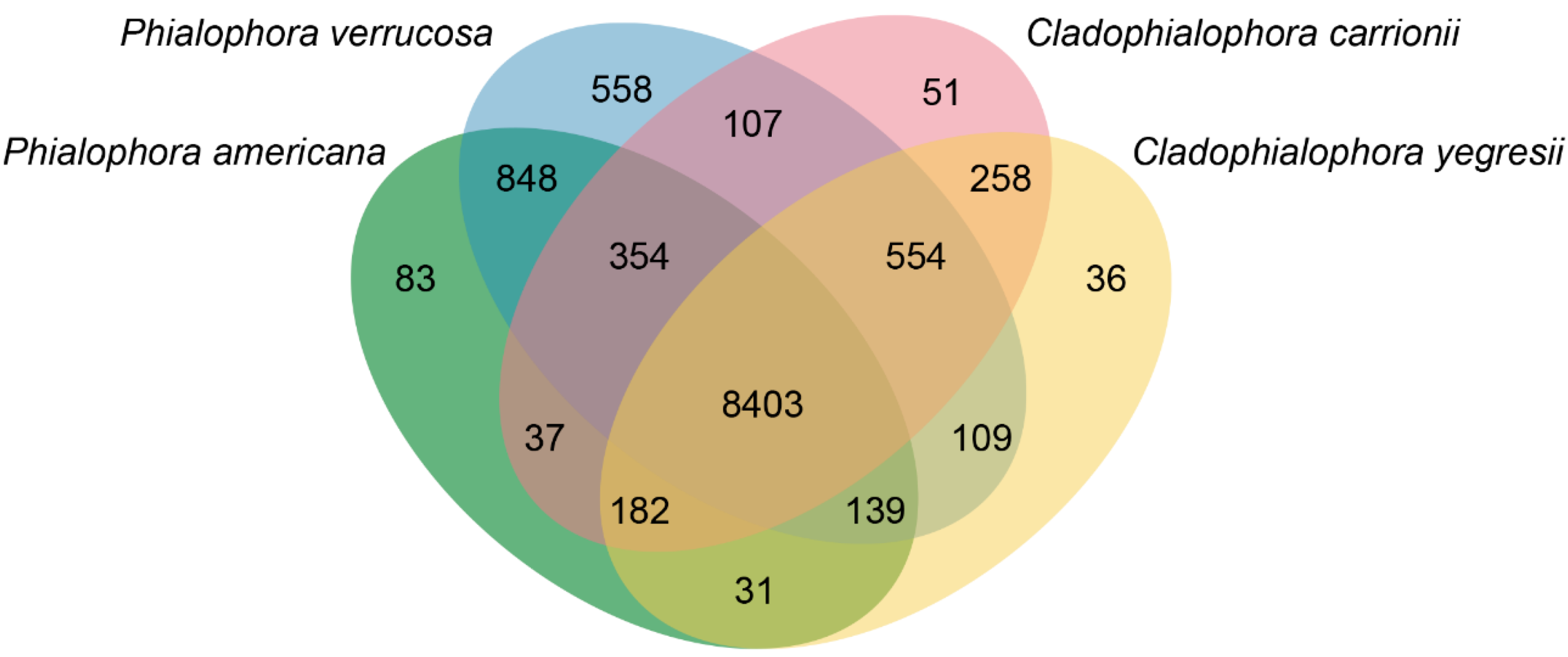 Jof 07 00095 g006 Jof 07 00095 g006