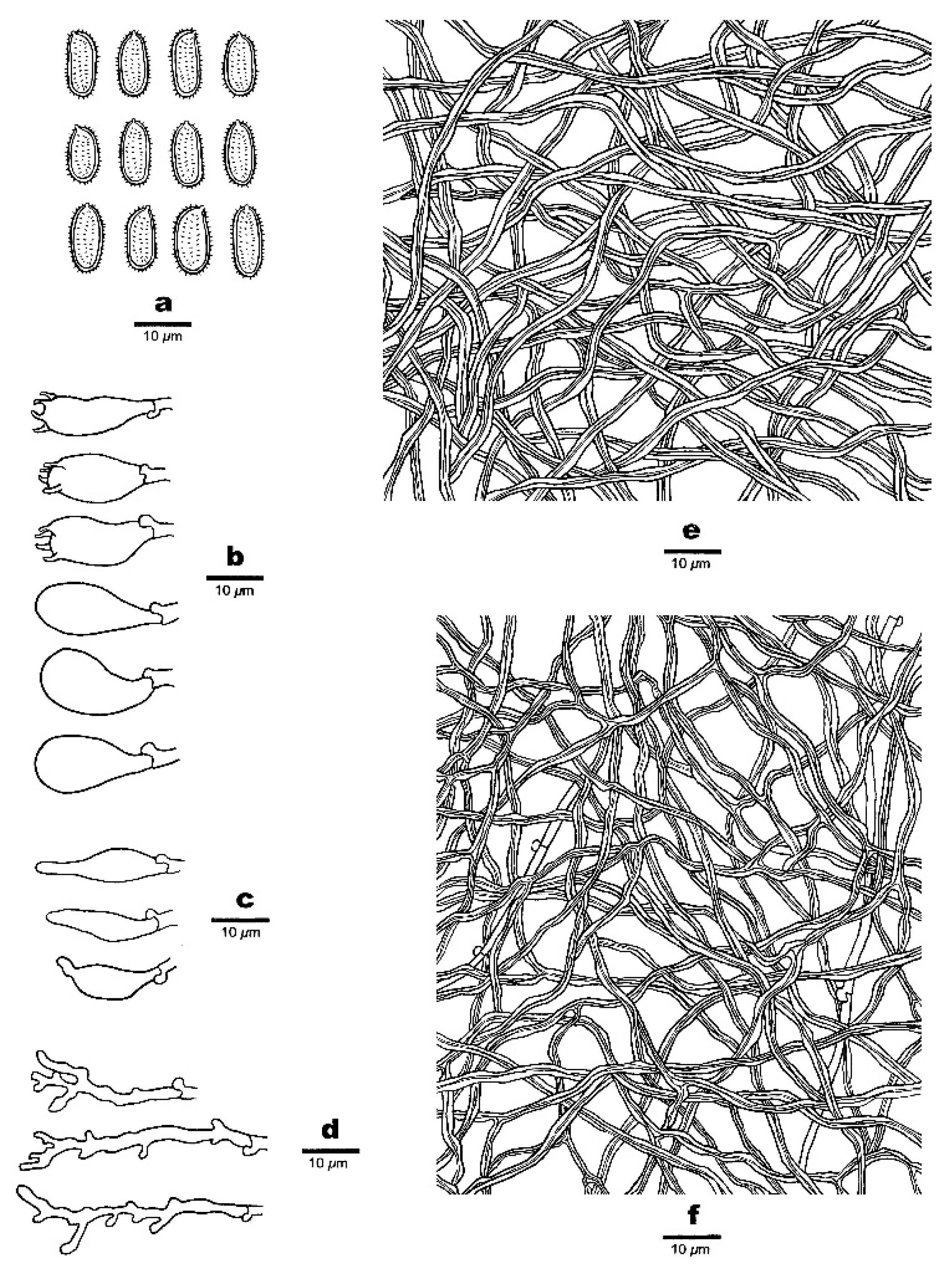 Jof 07 00096 g004 Jof 07 00096 g004