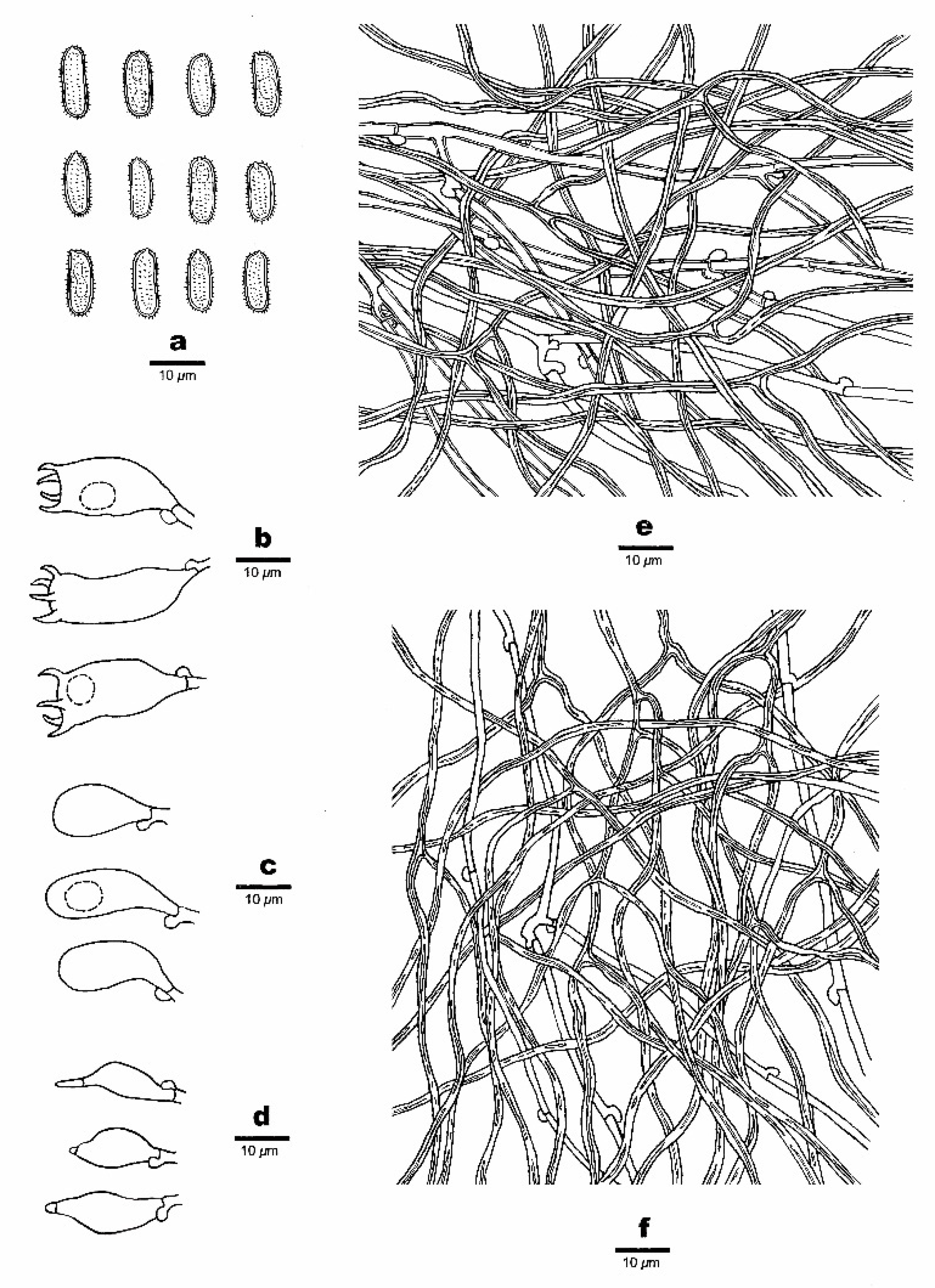 Jof 07 00096 g008 Jof 07 00096 g008