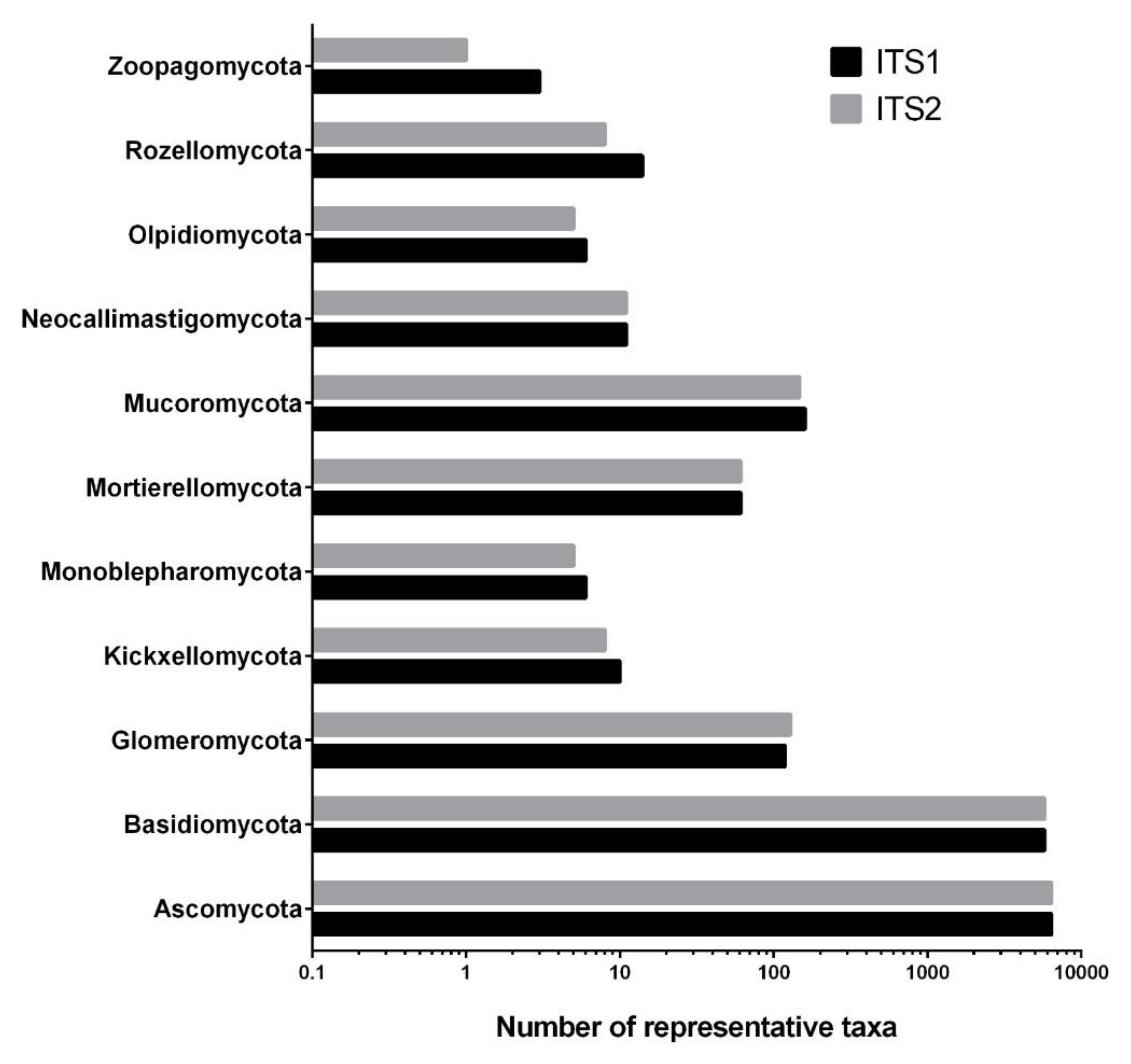 Jof 07 00099 g002 Jof 07 00099 g002