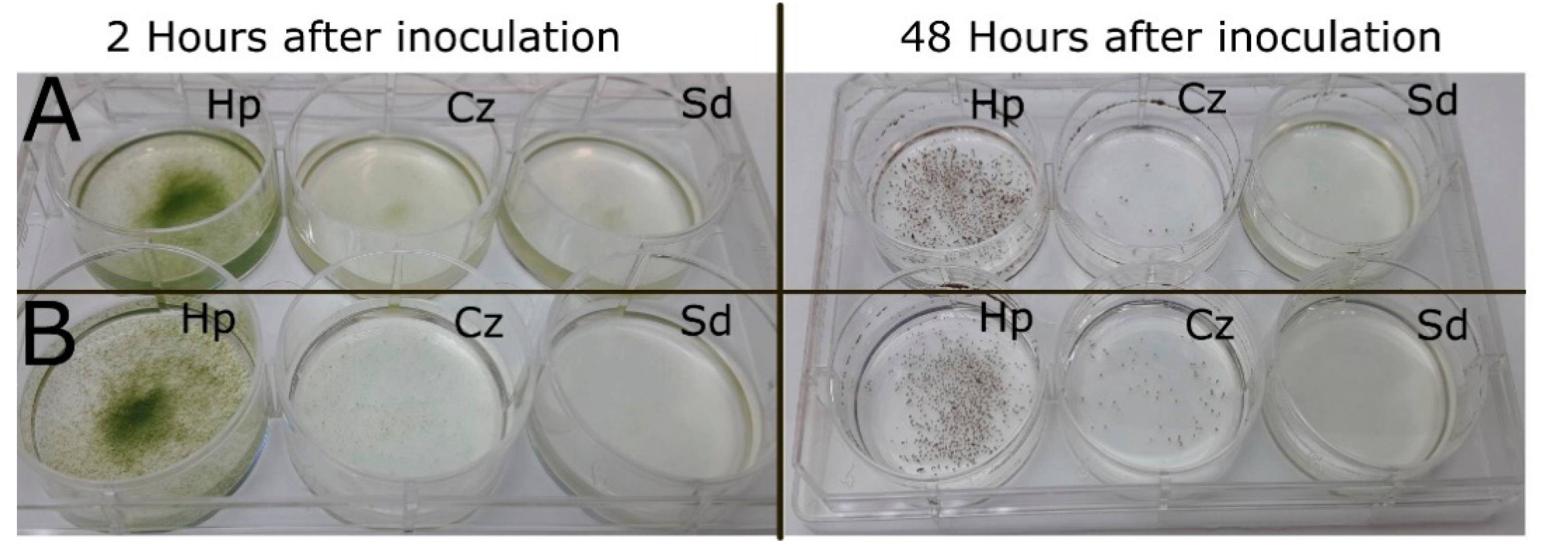 Jof 07 00100 g003 Jof 07 00100 g003