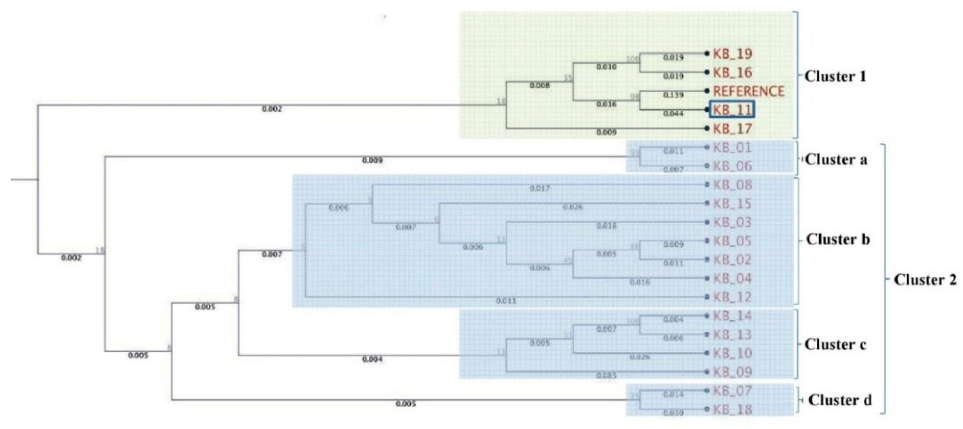 Jof 07 00103 g002 Jof 07 00103 g002