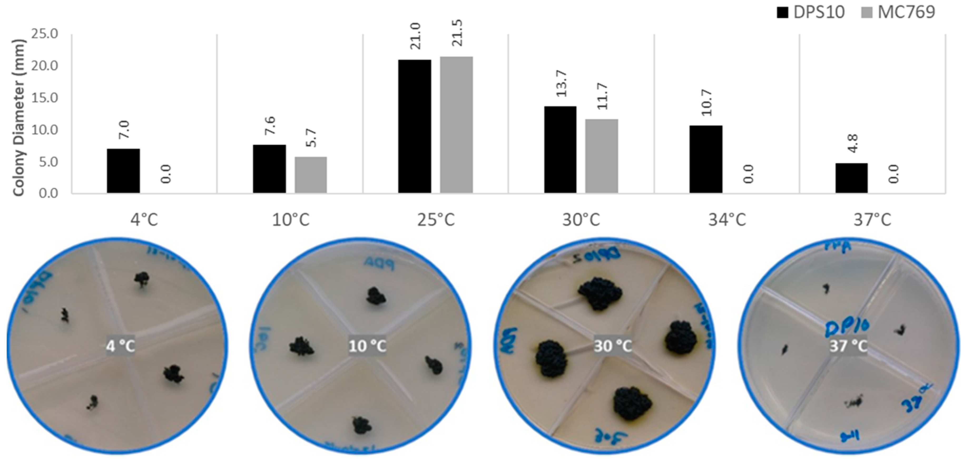 Jof 07 00104 g003 Jof 07 00104 g003