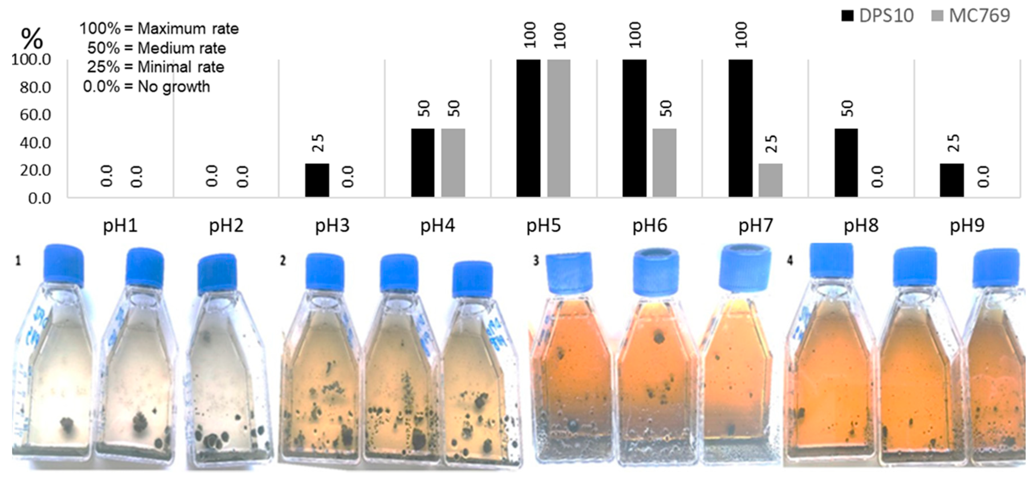Jof 07 00104 g005 Jof 07 00104 g005