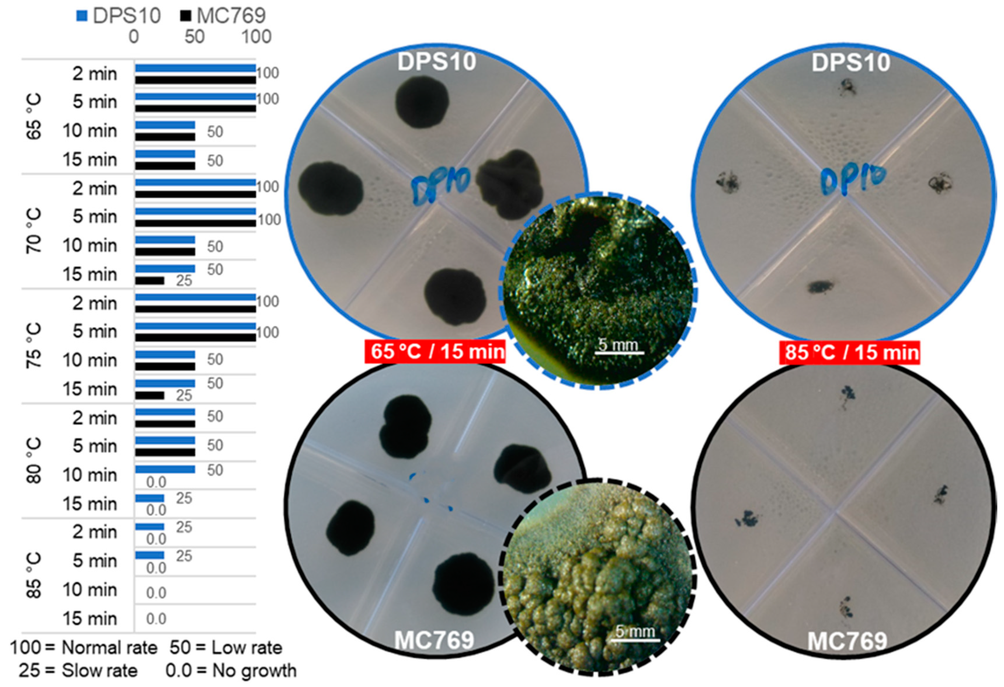 Jof 07 00104 g007 Jof 07 00104 g007