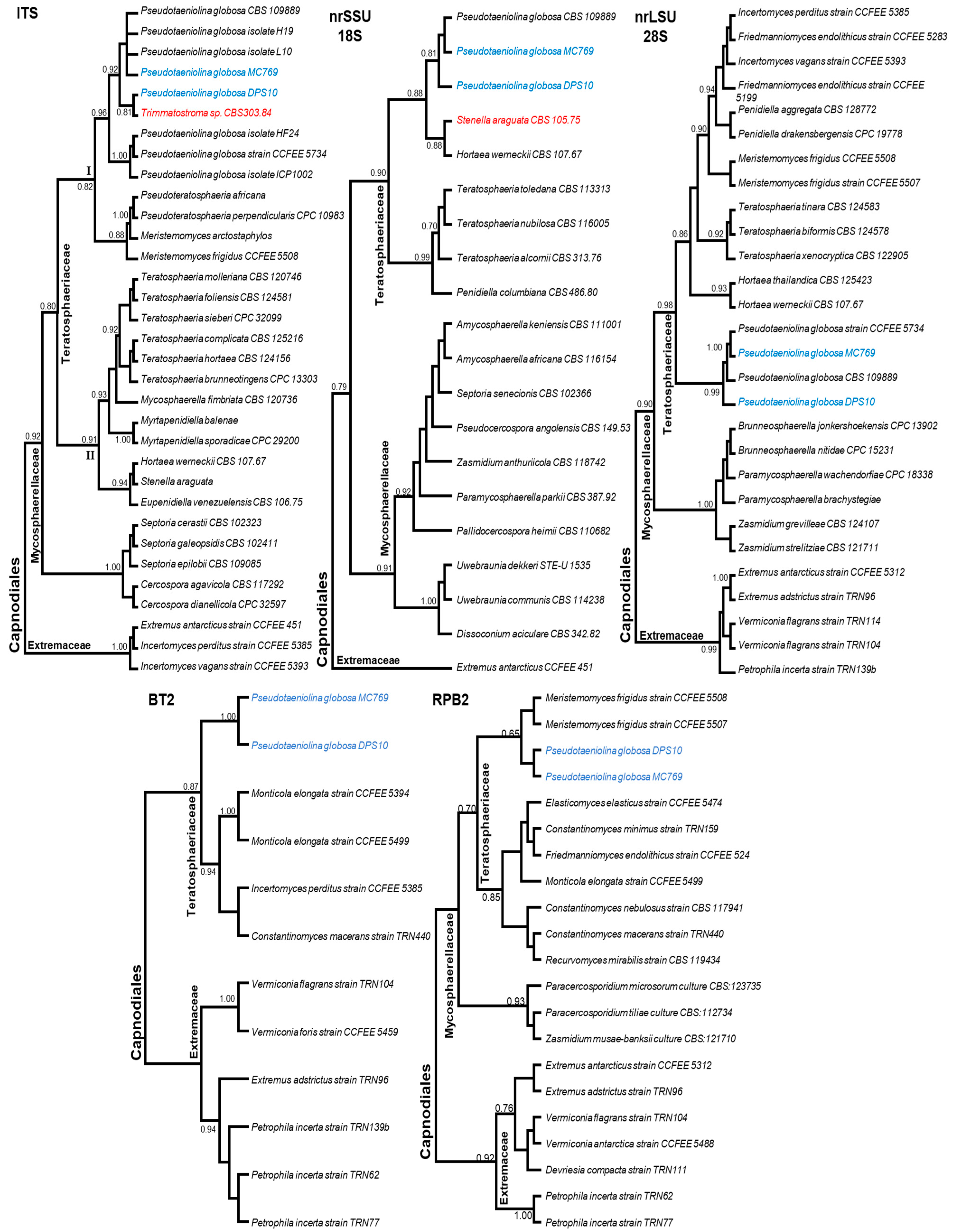 Jof 07 00104 g008 Jof 07 00104 g008