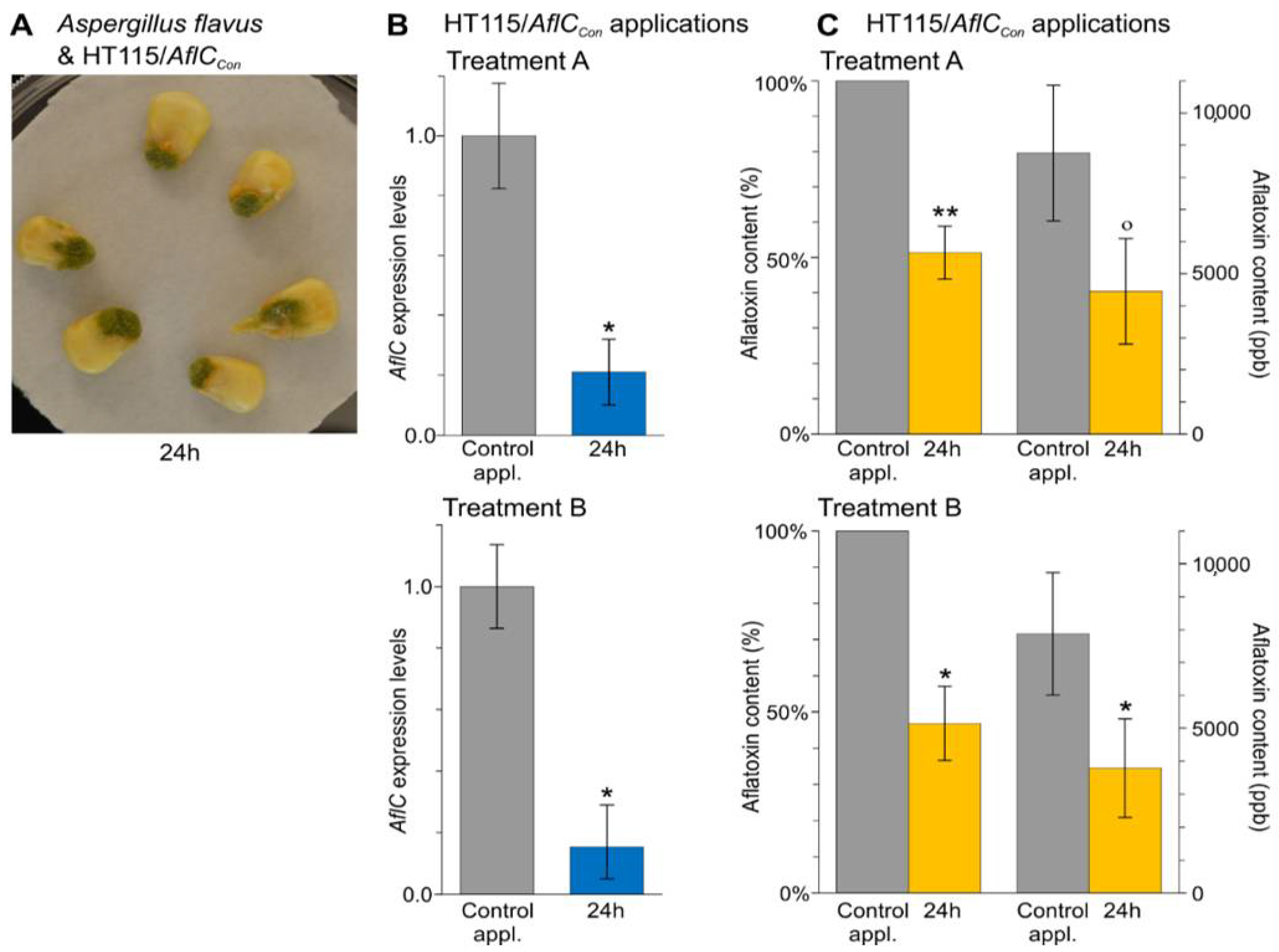 Jof 07 00125 g004 Jof 07 00125 g004