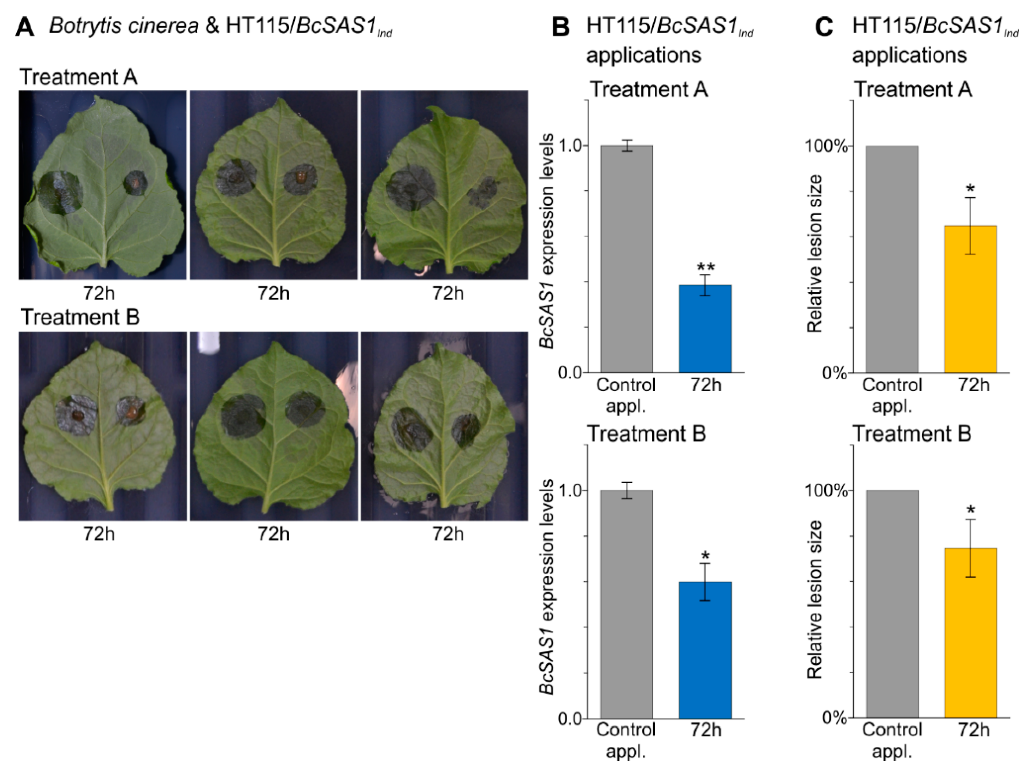 Jof 07 00125 g005 Jof 07 00125 g005