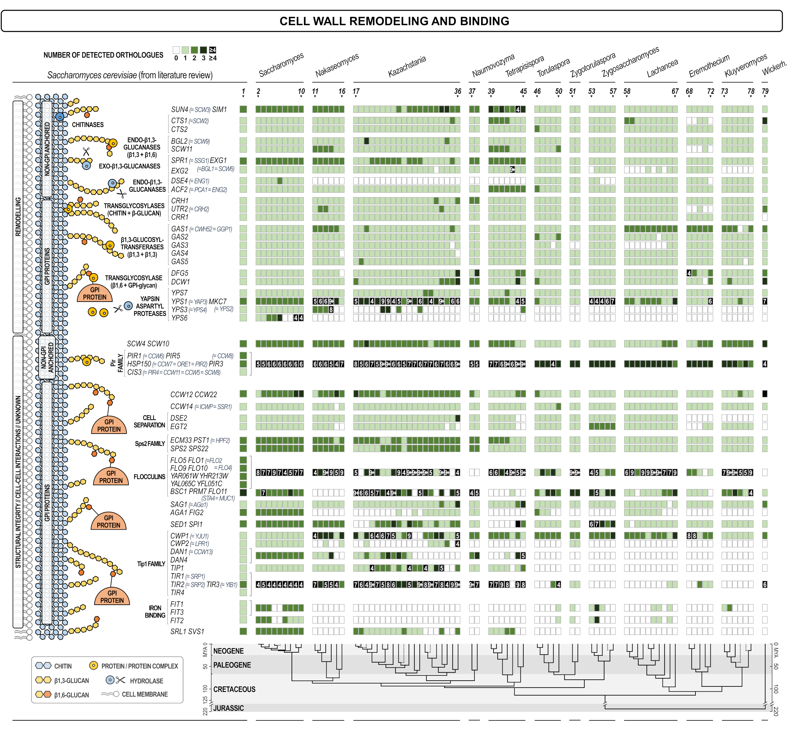 Jof 07 00128 g004 Jof 07 00128 g004