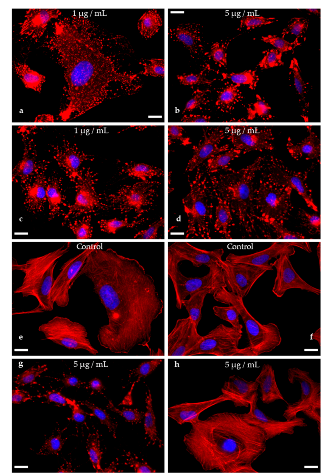 Jof 07 00131 g007 Jof 07 00131 g007
