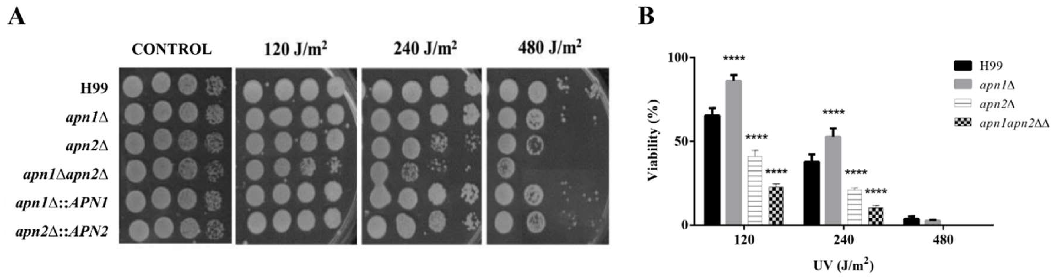 Jof 07 00133 g002 Jof 07 00133 g002