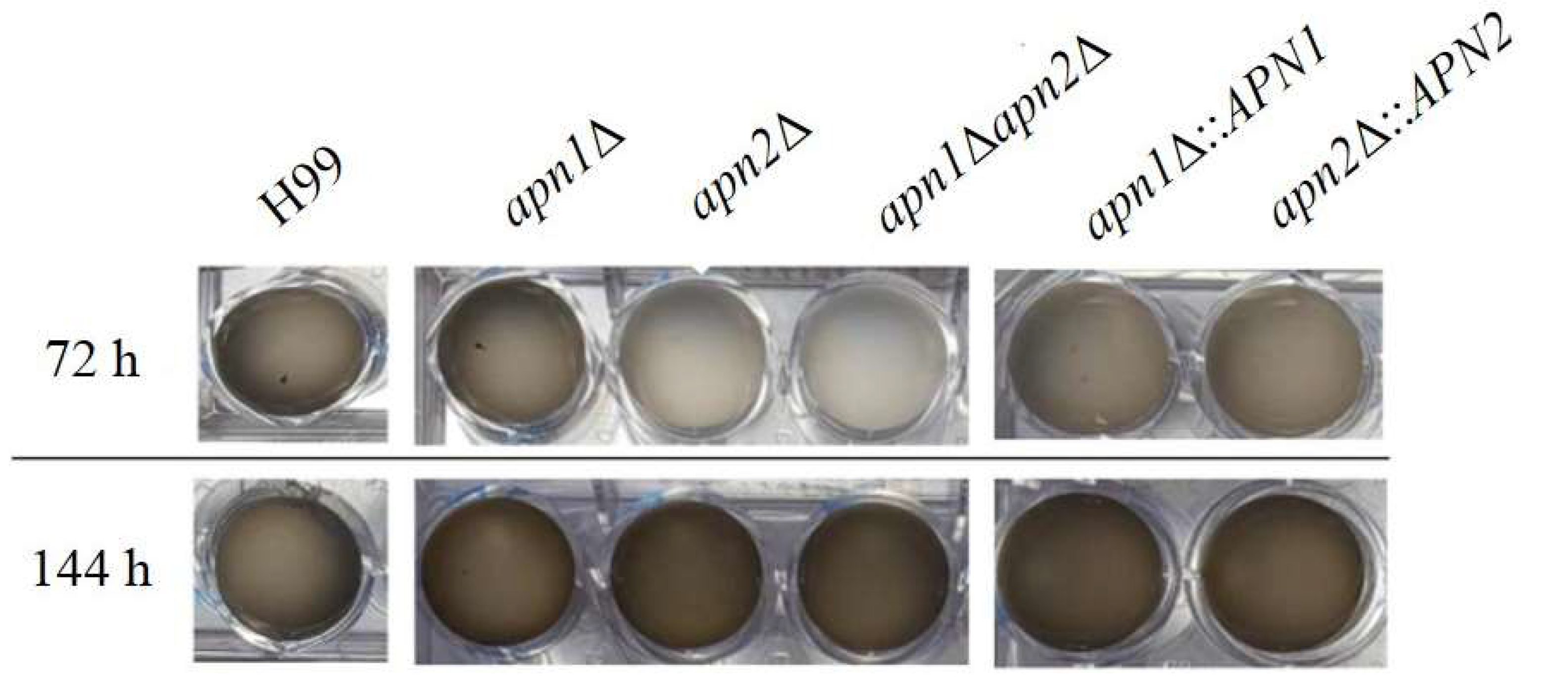 Jof 07 00133 g006 Jof 07 00133 g006