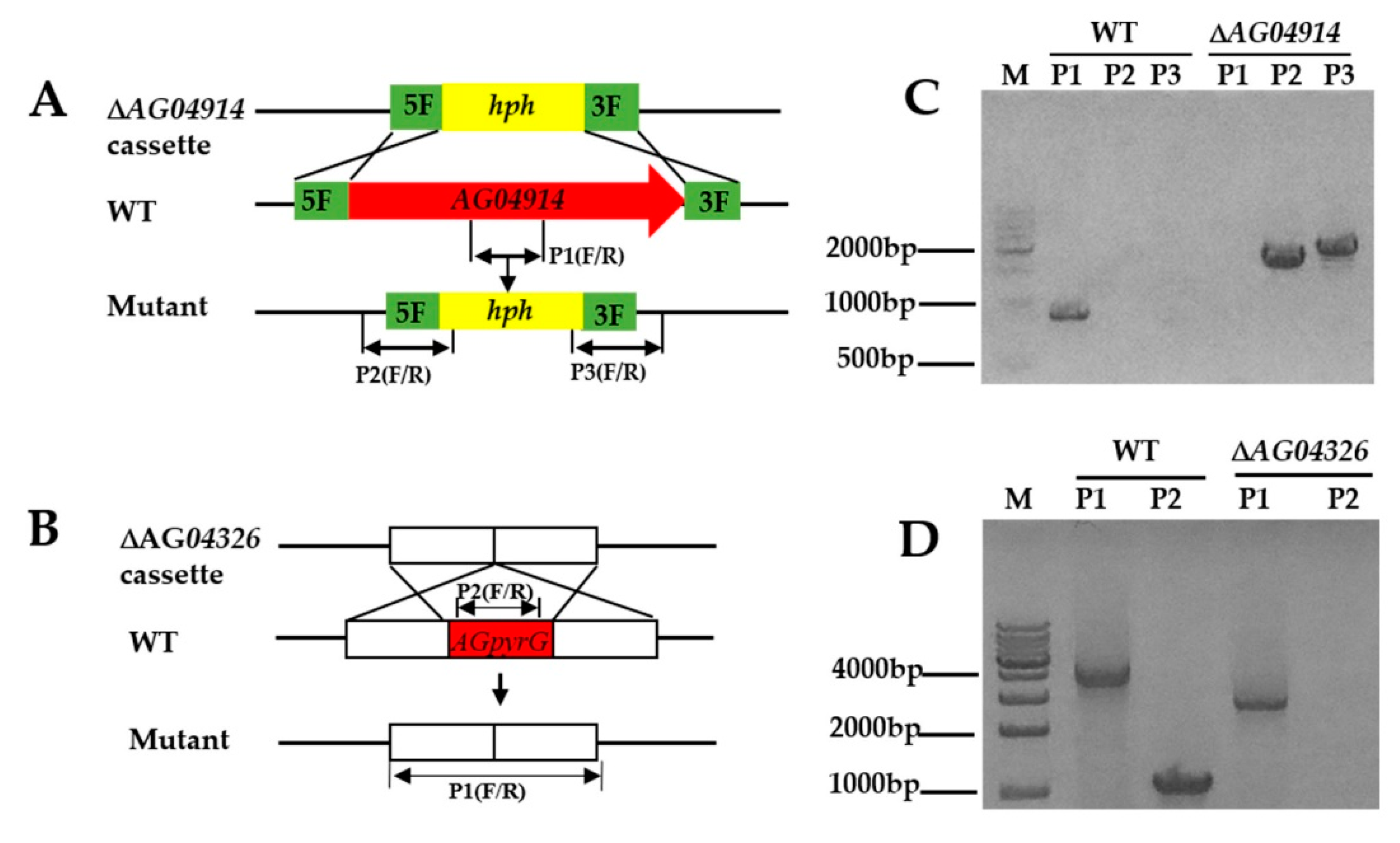 Jof 07 00138 g003 Jof 07 00138 g003