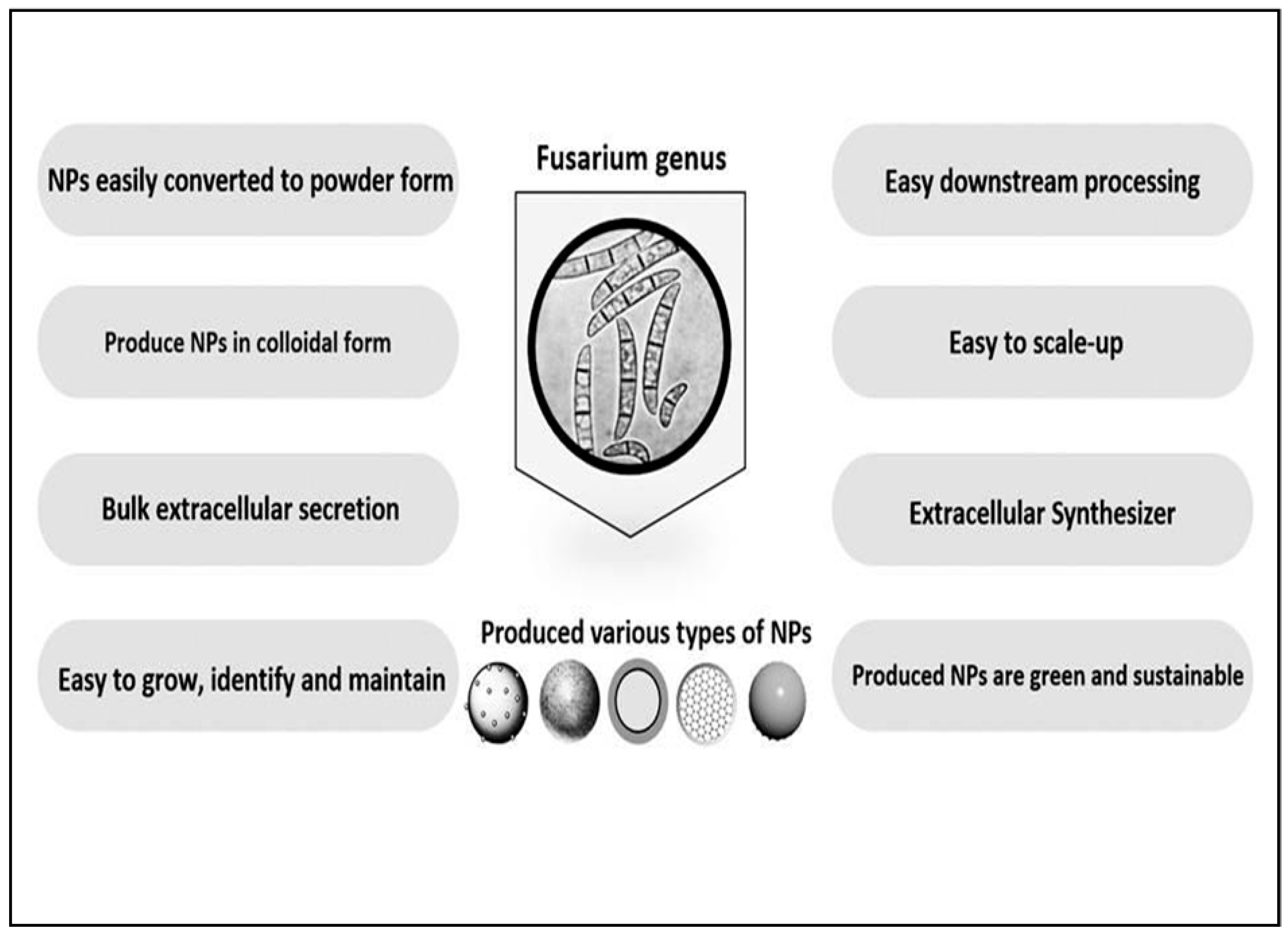 Jof 07 00139 g001 Jof 07 00139 g001