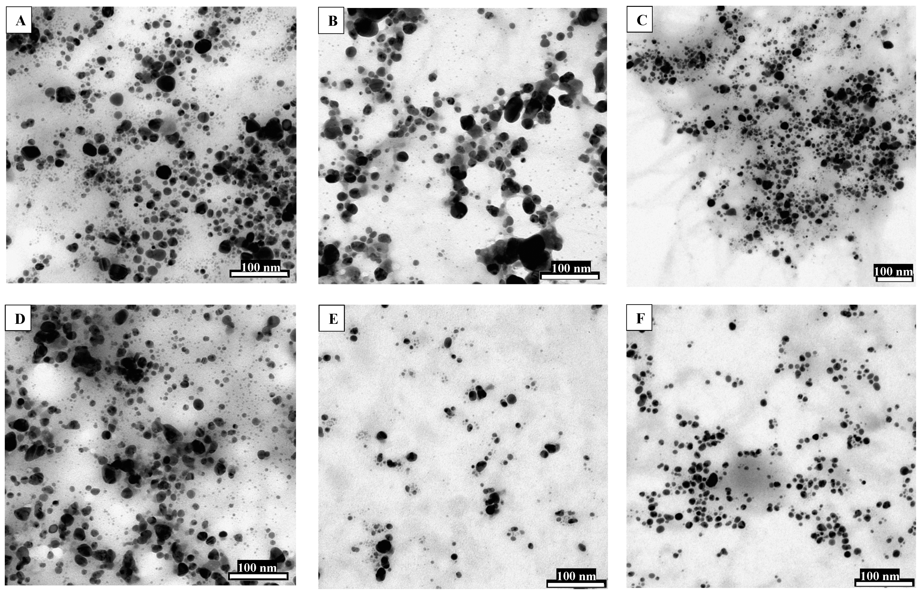 Jof 07 00139 g002 Jof 07 00139 g002