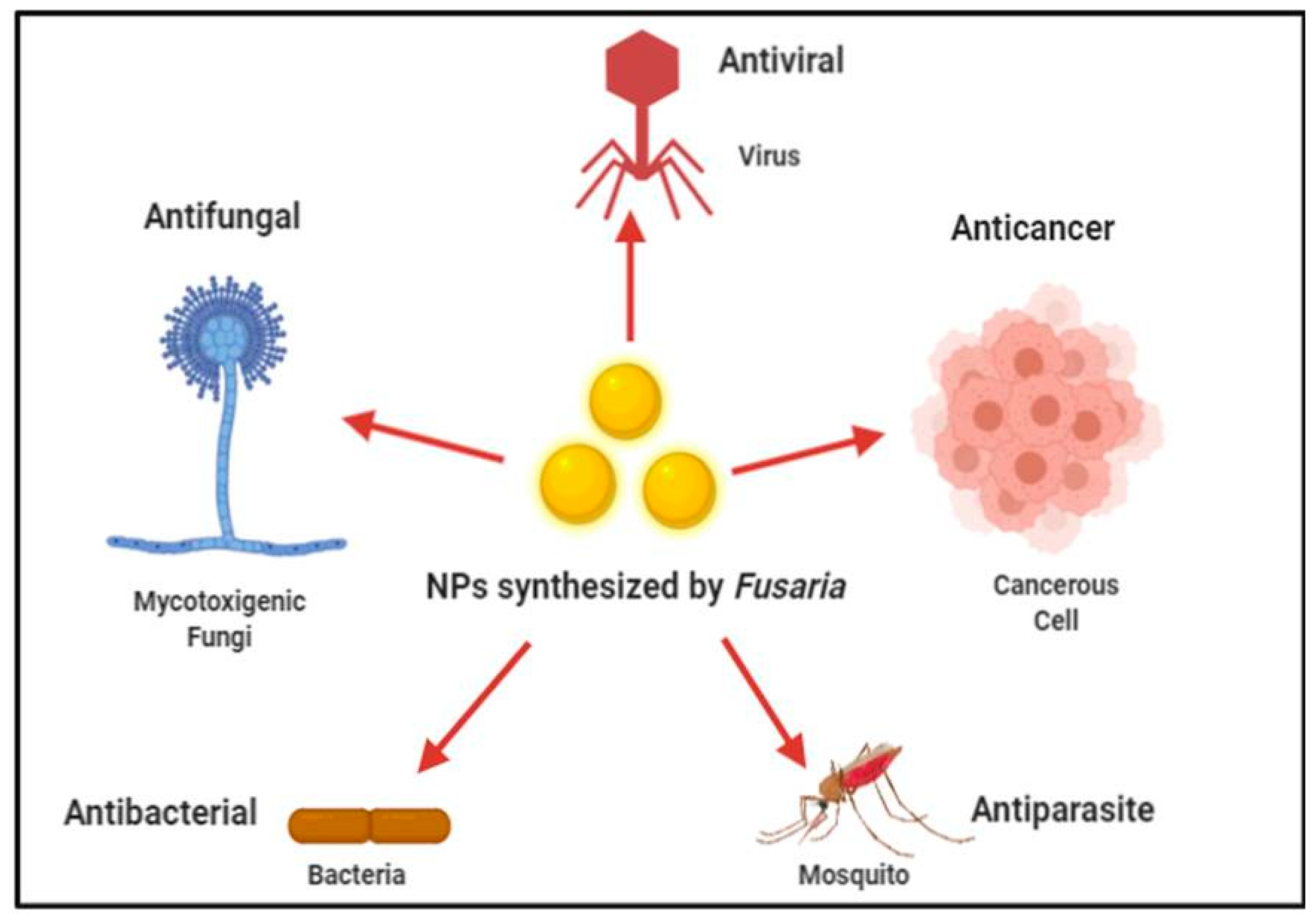 Jof 07 00139 g006 Jof 07 00139 g006