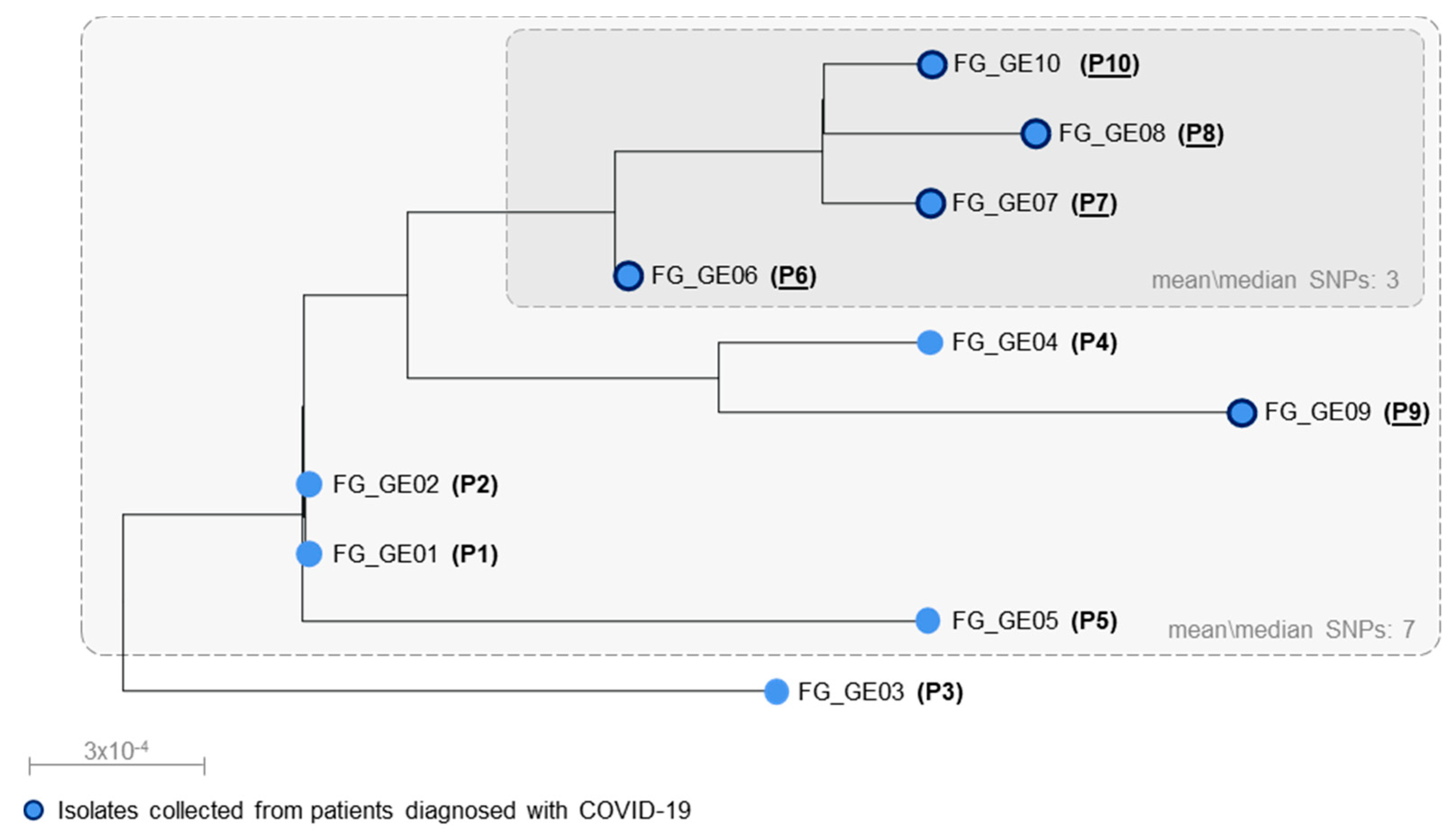 Jof 07 00140 g003 Jof 07 00140 g003