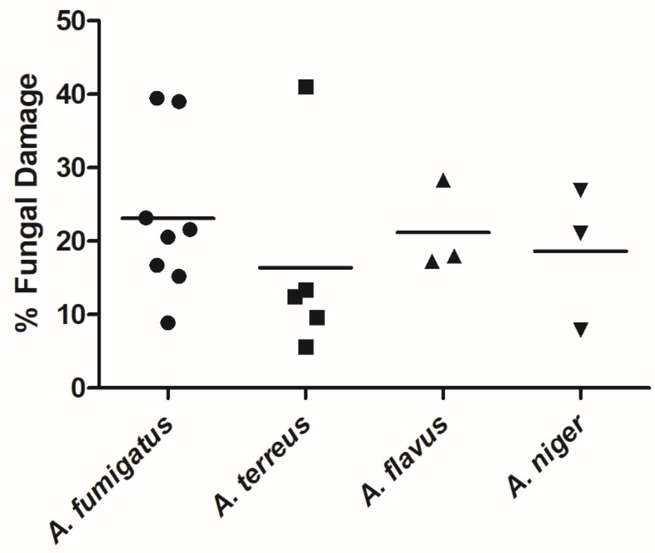 Jof 07 00144 g001 Jof 07 00144 g001