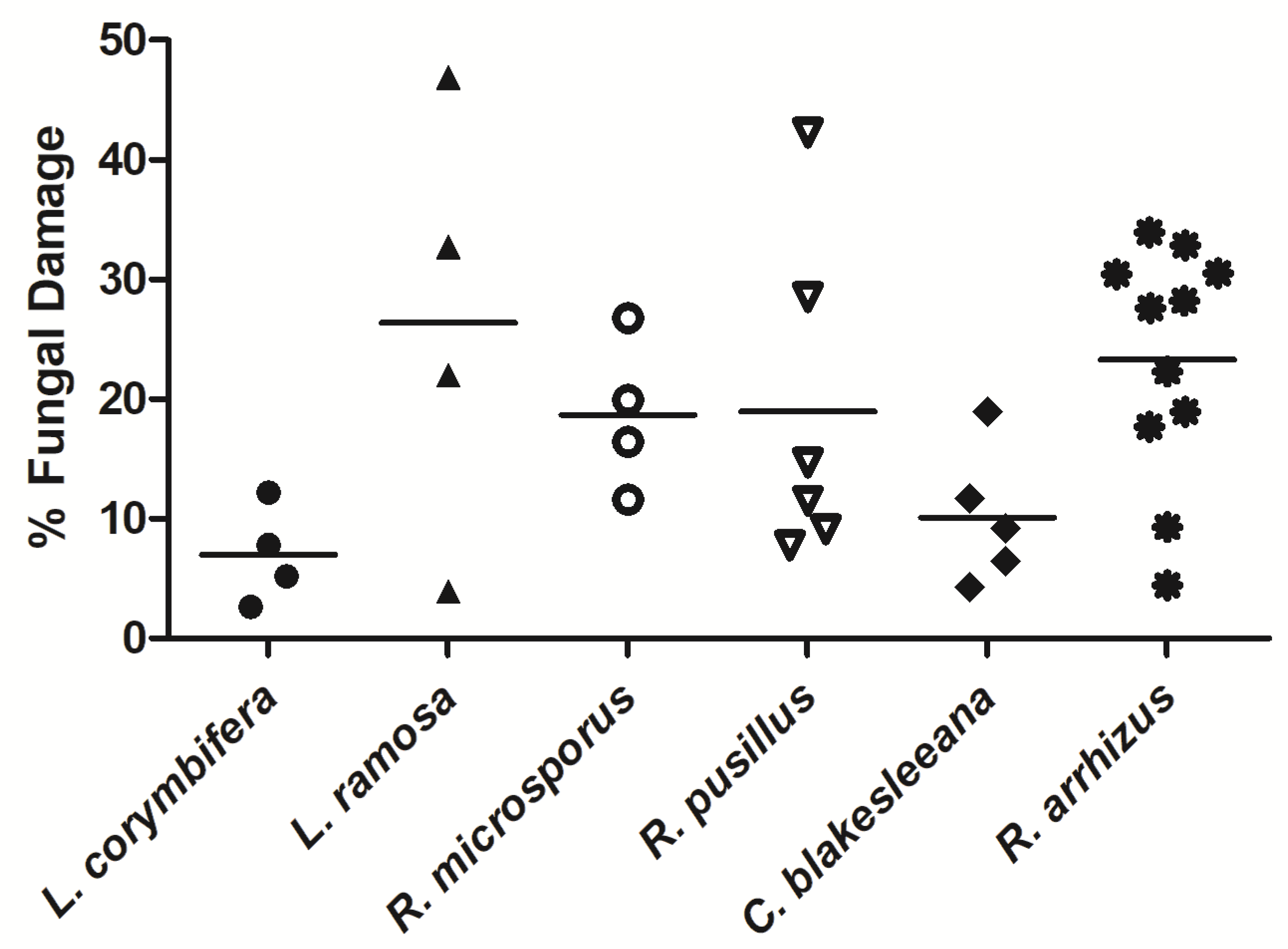 Jof 07 00144 g003 Jof 07 00144 g003