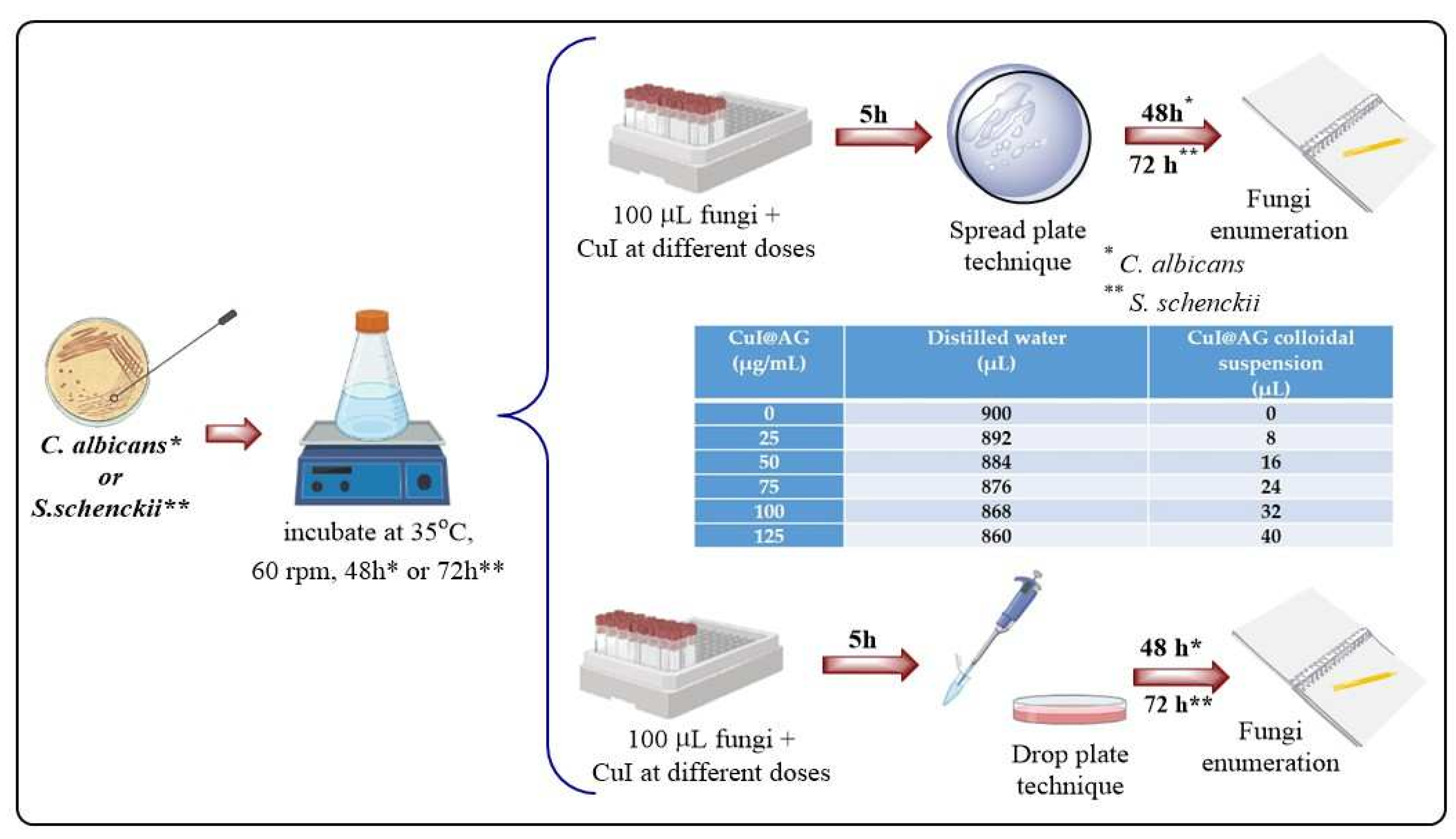 Jof 07 00158 g001 Jof 07 00158 g001