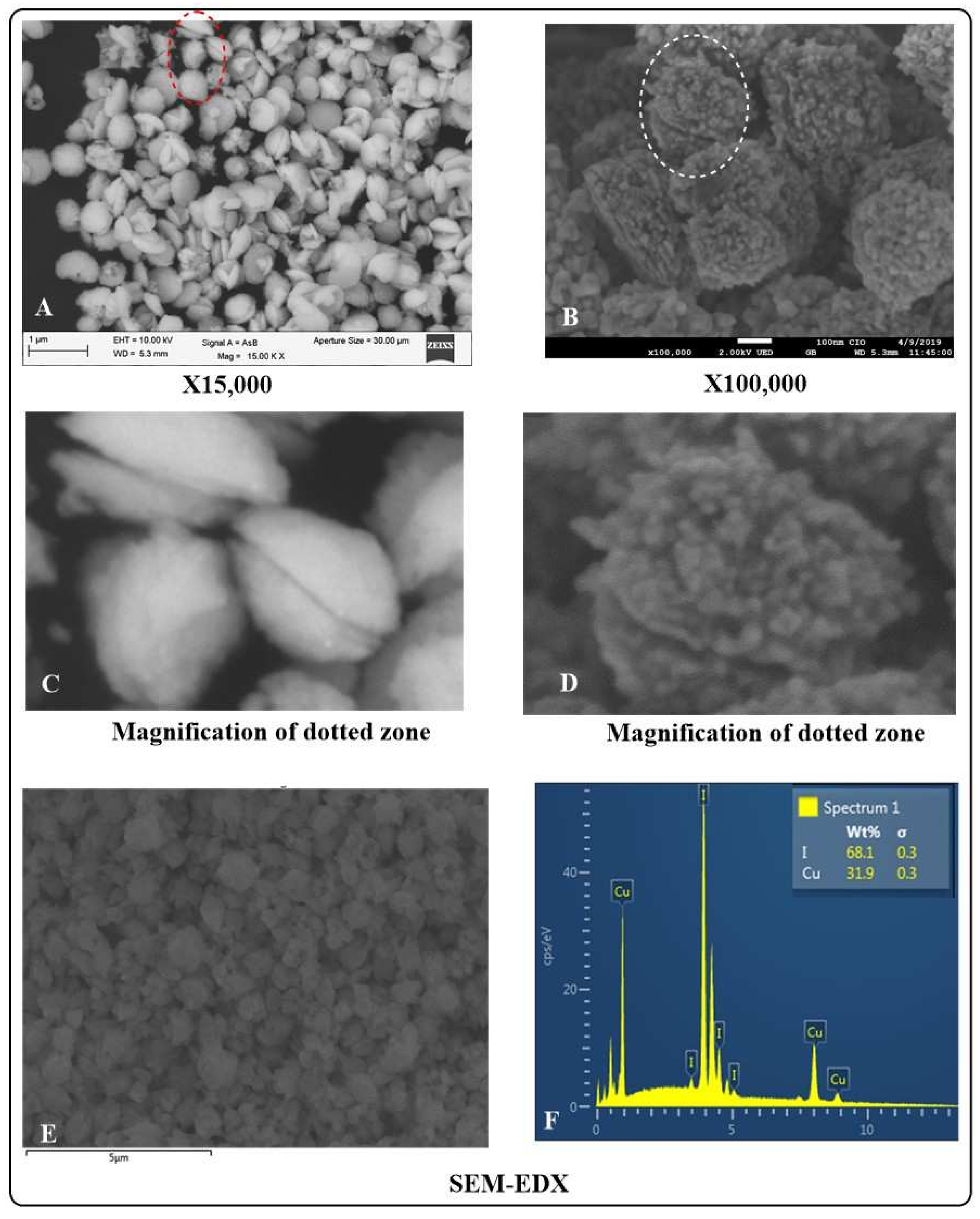 Jof 07 00158 g003 Jof 07 00158 g003