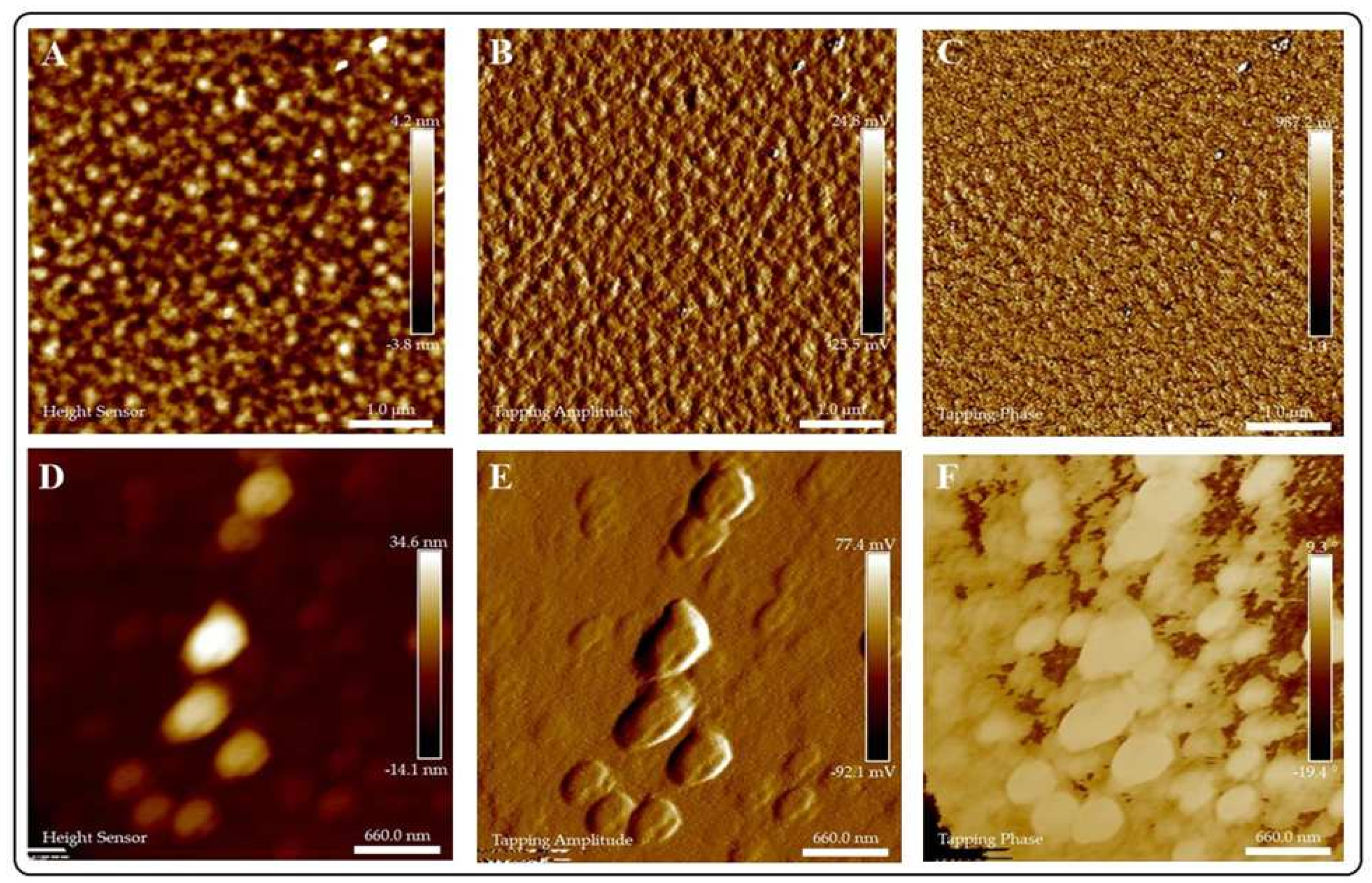 Jof 07 00158 g004 Jof 07 00158 g004