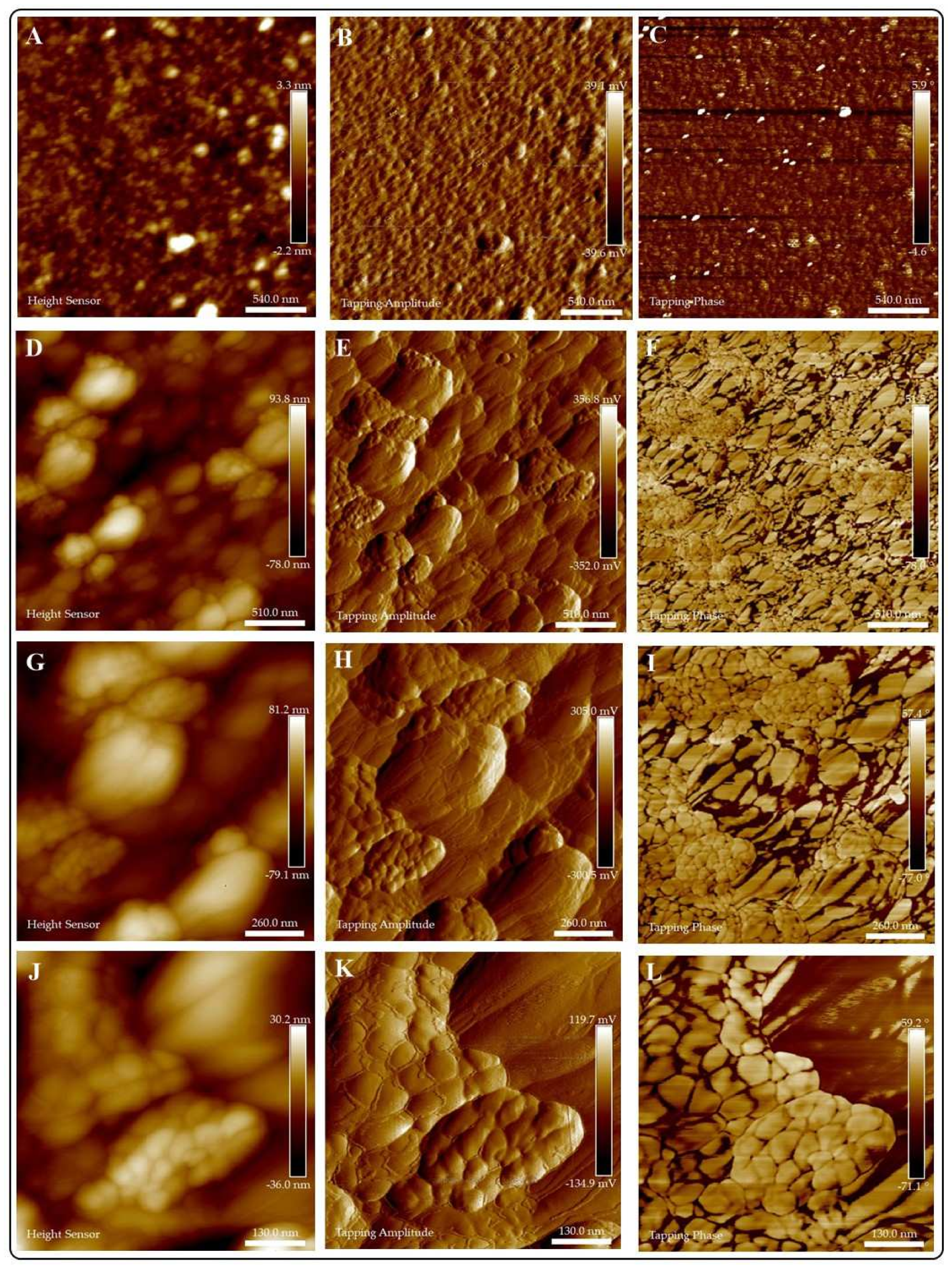 Jof 07 00158 g005 Jof 07 00158 g005