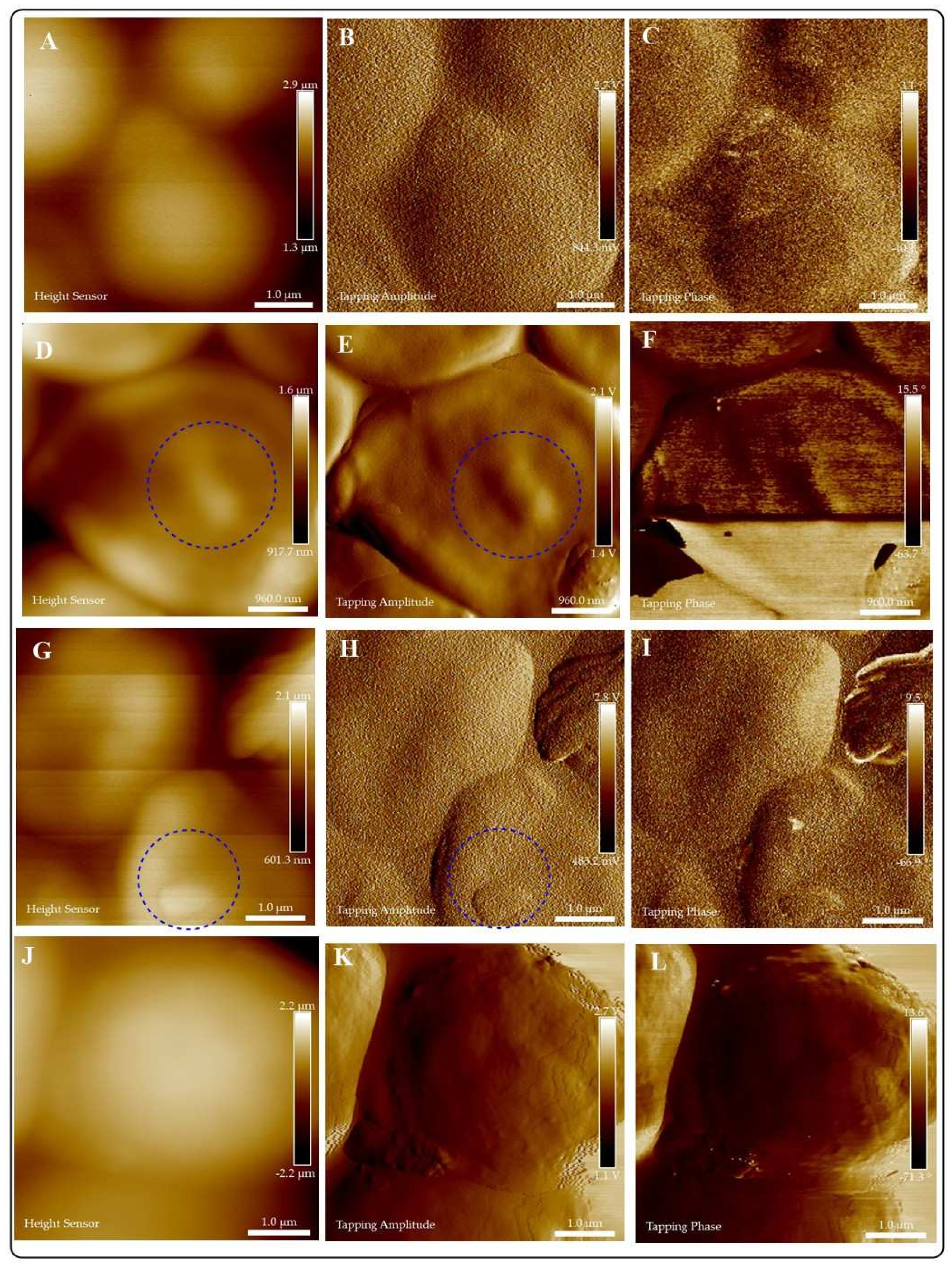 Jof 07 00158 g008 Jof 07 00158 g008